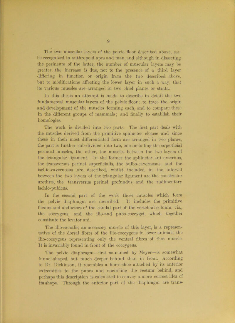 The two muscular layers of the pelvic floor described above, can be recognized in anthropoid apes and man, and although in dissecting the perineum of the latter, the number of muscular layers may be greater, the increase is due, not to the presence of a third layer differing in function or origin from the two described above, but to modifications affecting the lower layer in such a way, that its various muscles are arranged in two chief planes or strata. In this thesis an attempt is made to describe in detail the tw'o fundamental muscular layers of the pelvic floor; to trace the origin and development of the muscles forming each, and to compare these in the different groups of mammals; and finality to establish their homologies. The work is divided into two parts. The first part deals with the muscles derived from the primitive sphincter cloacse and since these in their most differentiated form are arranged in two planes, the part is further sub-divided into two, one including the superficial perineal muscles, the other, the muscles between the two layers of the triangular ligament. In the former the sphincter ani externus, the transversus perinei superficialis, the bulbo-cavernosus, and the ischio-cavernosus are described, whilst included in the interval between the two layers of the triangular ligament are the constrictor urethrae, the transversus perinei profundus, and the rudimentary ischio-pubicus. In the second part of the work those muscles which form the pelvic diaphragm are described. It includes the primitive flexors and abductors of the caudal part of the vertebral column, viz., the coccygeus, and the ilio-and pubo-coccygei, which together constitute the levator ani. The ilio-sacralis, an accessory muscle of this layer, is a represen- tative of the dorsal fibres of the ilio-coccygeus in lower animals, the ilio-coccygeus representing only the ventral fibres of that muscle. It is invariably found in front of the coccygeus. The pelvic diaphragm—first so-named by Meyer—is somewhat funnel-shaped but much deeper behind than in front. According to Dr. Dickinson, it resembles a horse-shoe attached by its anterior extremities to the pubes and encircling the rectum behind, and perhaps this description is calculated to convey a more correct idea of its shape. Through the anterior part of the diaphragm are trans-
