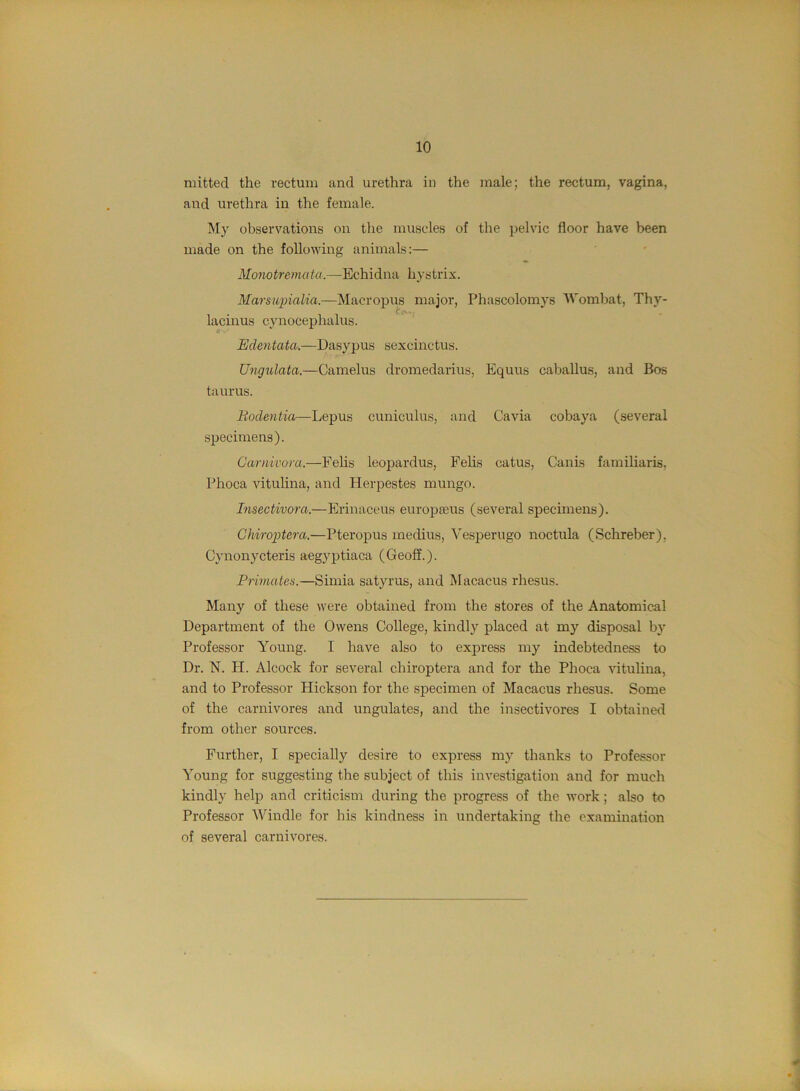 mittecl the rectum and urethra in the male; the rectum, vagina, and urethra in the female. My observations on the muscles of the pelvic floor have been made on the following animals;— Momtremata.—Echidna hystrix. Marsiipialia.—Macropus major, Phascolomys Wombat, Thy- lacinus cynocephalus. Edentata.—Dasypus sexcinctus. Ungulata.—Camelus dromedarius, Equus caballus, and Bos taurus. Bodentia—Lepus cv;niculus, and Cavia cobaya (several specimens). Carnivora.—Fehs leopardus, Felis catus, Canis familiaris, Phoca vitulina, and Herpestes mungo. Insectivora.—Erinaceus europseus (several specimens). Ghiroptera.—Pteropus medius, Vesperugo noctula (Schreber), Cynonycteris aegyptiaca (Geoff.). Primates.—Simia satyrus, and Macacus rhesus. Many of these were obtained from the stores of the Anatomical Department of the Owens College, kindly placed at my disposal by Professor Young. I have also to express my indebtedness to Dr. N. H. Alcock for several chiroptera and for the Phoca vitulina, and to Professor Hickson for the specimen of Macacus rhesus. Some of the carnivores and ungulates, and the insectivores I obtained from other sources. Further, I specially desire to express my thanks to Professor Young for suggesting the subject of this investigation and for much kindly help and criticism during the progress of the work; also to Professor Windle for his kindness in undertaking the examination of several carnivores.