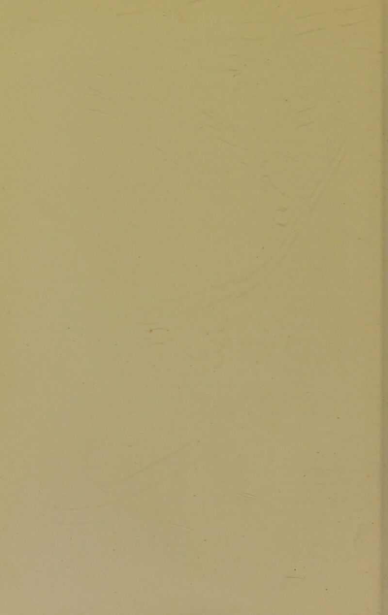 s , '■---••A'.*’ • ■ ■ *■ - V ^ '^* ^■'■ V • --/ ^ >■ . ' r fc ‘J! X t. ji'V'' • > l •%. •**5/ - XV' -. rr -r^i^ - -A - x:-.. ;i7 r^ *• jr • *iJ' . . ,'.*^ . ’ i* - /x!?r  * -r '.. *■ hV > ‘^* ■r , > •.•' ^ C p. . ^ ' -, • Xi,«’'- ?>< i r. 1. ^ M t . J'. ■'^if.‘-*~ >■ jT V 7. . V.;-: •': ;^J:r > > . <* •.ri - f'. .. . -V - . V • ^ •. » •.](». . V'-’' .»*f« ■’■• . t L'-W- .•H'A :■ iT:'