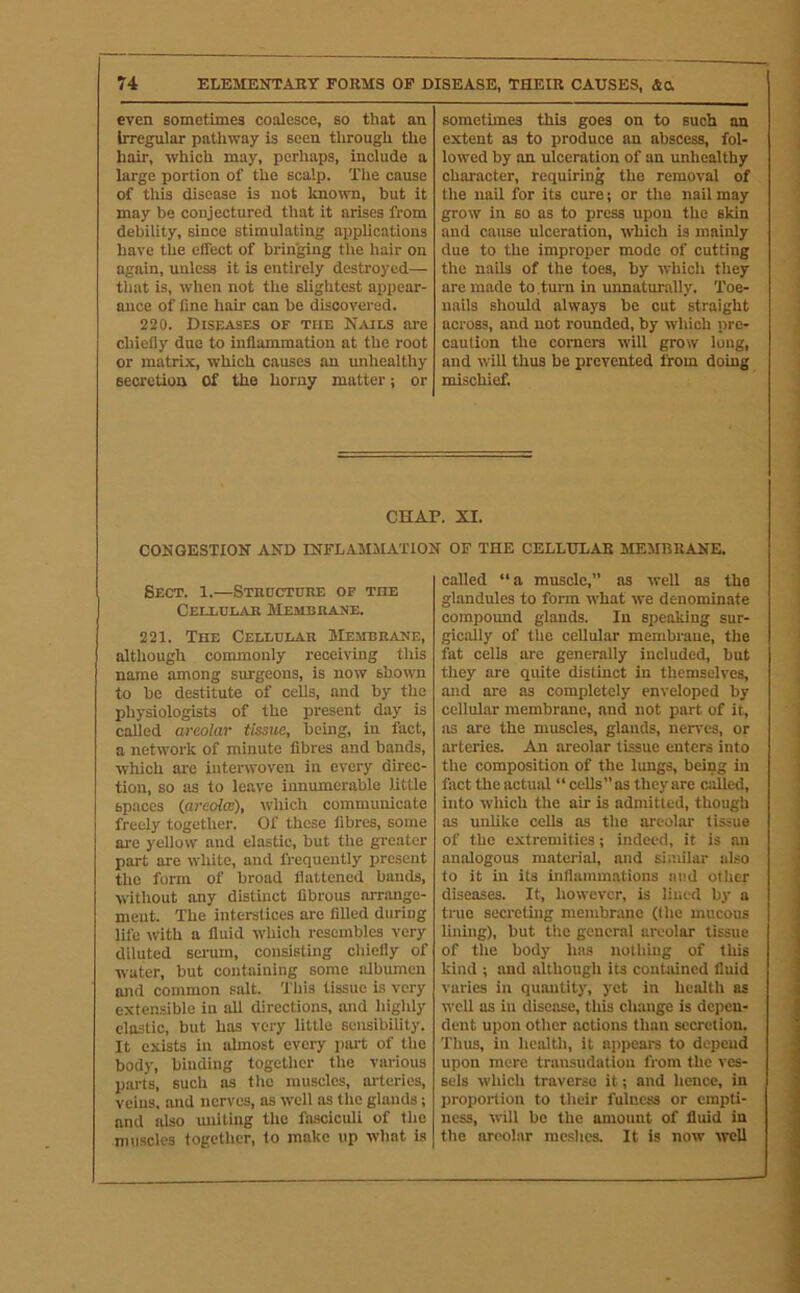even sometimes coalesce, so that an Irregular pathway is seen tlirough the hair, which may, perhaps, include a large portion of the scalp. The cause of this disease is uot known, but it may be conjectured that it arises from debility, since stimulating applications have the effect of bringing the hair on again, unless it is entirely destroyed— that is, when not the slightest appear- ance of line hair can be discovered. 220. Diseases of the Nails are chiefly duo to inflammation at the root or matrix, which causes an unhealthy secretion Of the horny matter j or sometimes this goes on to such an extent as to produce an abscess, fol- lowed by an ulceration of an unhealthy character, requiring the removal of the nail for its cure; or the nail may grow in so as to press upon the skin and cause ulceration, which is mainly due to the improper mode of cutting the nails of the toes, by which they are made to, turn in unnaturally. Toe- nails should always be cut straight across, and not rounded, by which pre- caution the corners will grow long, and will tlius be prevented from doing mischief. CHAP. XI. CONGESTION AND INFLAMMATION OF THE CELLULAR MEMBRANE. Sect. 1.—Stroctore of the Cellular Membrane. 221. The Cellular Membrane, although commonly receiving this name among surgeons, is now shown to be destitute of cells, and by the physiologists of the present day is called areolar tissue, being, in fact, a network of minute fibres and bands, which are interwoven in every direc- tion, so as to leave innumerable little spaces (areolcB), which communicate freely together. Of these fibres, some are yellow and elastic, but the greater part are white, and frequently present the form of broad flattened bands, without any distinct fibrous arrange- ment. The Interstices are filled during life with a fluid which resembles very diluted serum, consisting chiefly of water, but containing some albumen and common salt. This tissue is very extensible in all directions, and highly clastic, but has very little sensibility. It exists in almost every part of the body, binding together the various parts, such as the muscles, ai'teries, veins, and nerves, as well as the glands; and also milling the fasciculi of the muscles together, to make up what is called “a muscle,” as well as the glandules to form what we denominate compound glands. In speaking sur- gically of the cellular membi-aue, the fat cells are generally included, but they are quite distinct in themselves, and are as completely enveloped by cellular membrane, and not part of it, as are the muscles, glands, nerves, or arteries. An areolar tissue enters into the composition of the lungs, being in fact the actual “ cells” as they arc called, into which the air is admitted, though as unlike cells as the areolar tissue of the extremities; indeed, it is an analogous material, and similar also to it in its inflammations smd other diseases. It, however, is lined by a true secreting membrane (the mucous lining), but the general areolar tissue of the body has nothing of this kind ; and although its contained fluid varies in quantity, yet in health as well as in disease, this change is depen- dent upon other actions than secretion. Thus, in health, it appears to depend upon mere transudation from the ves- sels which traverse it; and hence, in proportion to their fulness or empti- ness, will be the amount of fluid in the areolar meshes. It is now well