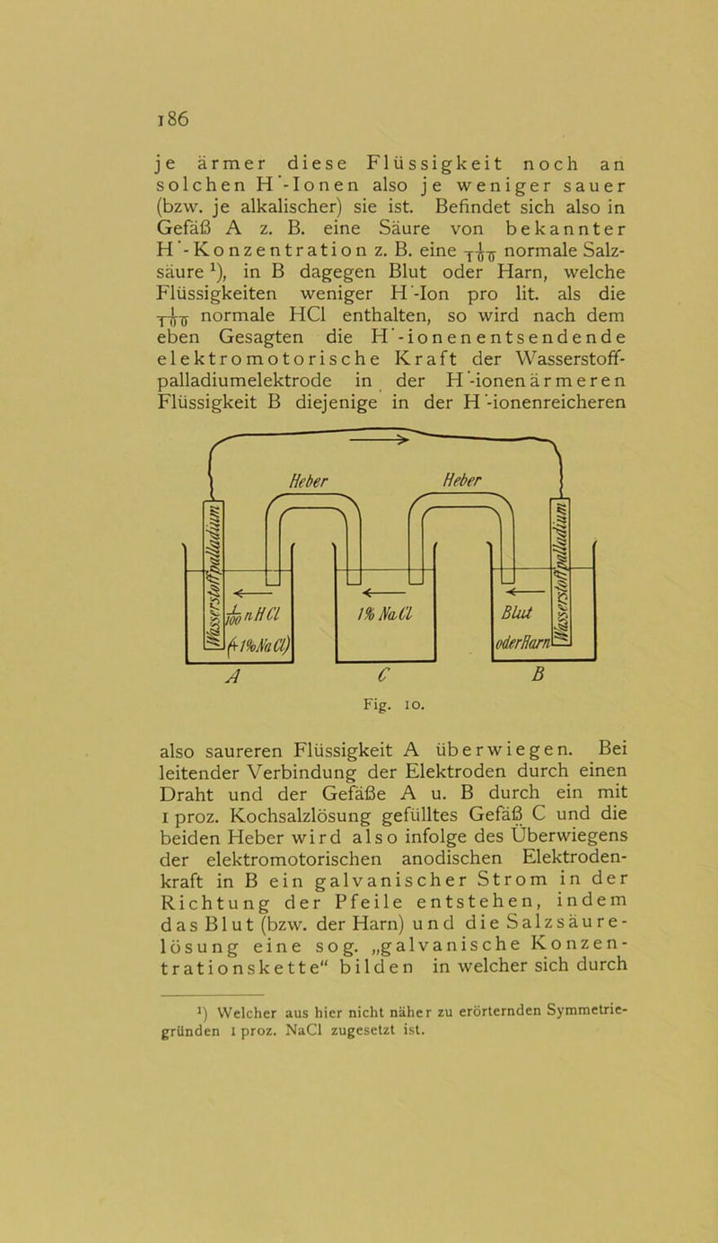 je ärmer diese Flüssigkeit noch an solchen H -Ionen also je weniger sauer (bzw. je alkalischer) sie ist. Befindet sich also in Gefäß A z. B. eine Säure von bekannter H’-Konzentration z. B. eine normale Salz- säure ^), in B dagegen Blut oder Harn, welche Flüssigkeiten weniger H -Ion pro lit. als die normale HCl enthalten, so wird nach dem eben Gesagten die H'-ionenentsendende elektromotorische Kraft der Wasserstoff- palladiumelektrode in der H-ionen ärmeren Flüssigkeit B diejenige in der H’-ionenreicheren also saureren Flüssigkeit A überwiegen. Bei leitender Verbindung der Elektroden durch einen Draht und der Gefäße A u. B durch ein mit I proz. Kochsalzlösung gefülltes Gefäß C und die beiden Heber wird also infolge des Überwiegens der elektromotorischen anodischen Elektroden- kraft in B ein galvanischer Strom in der Richtung der Pfeile entstehen, indem das Blut (bzw. der Harn) und dieSalzsäure- lüsung eine sog. „galvanische Konzen- trationskette bilden in welcher sich durch ') Welcher aus hier nicht näher zu erörternden Symmetrie- grilnden i proz. NaCl zugesetzt ist.