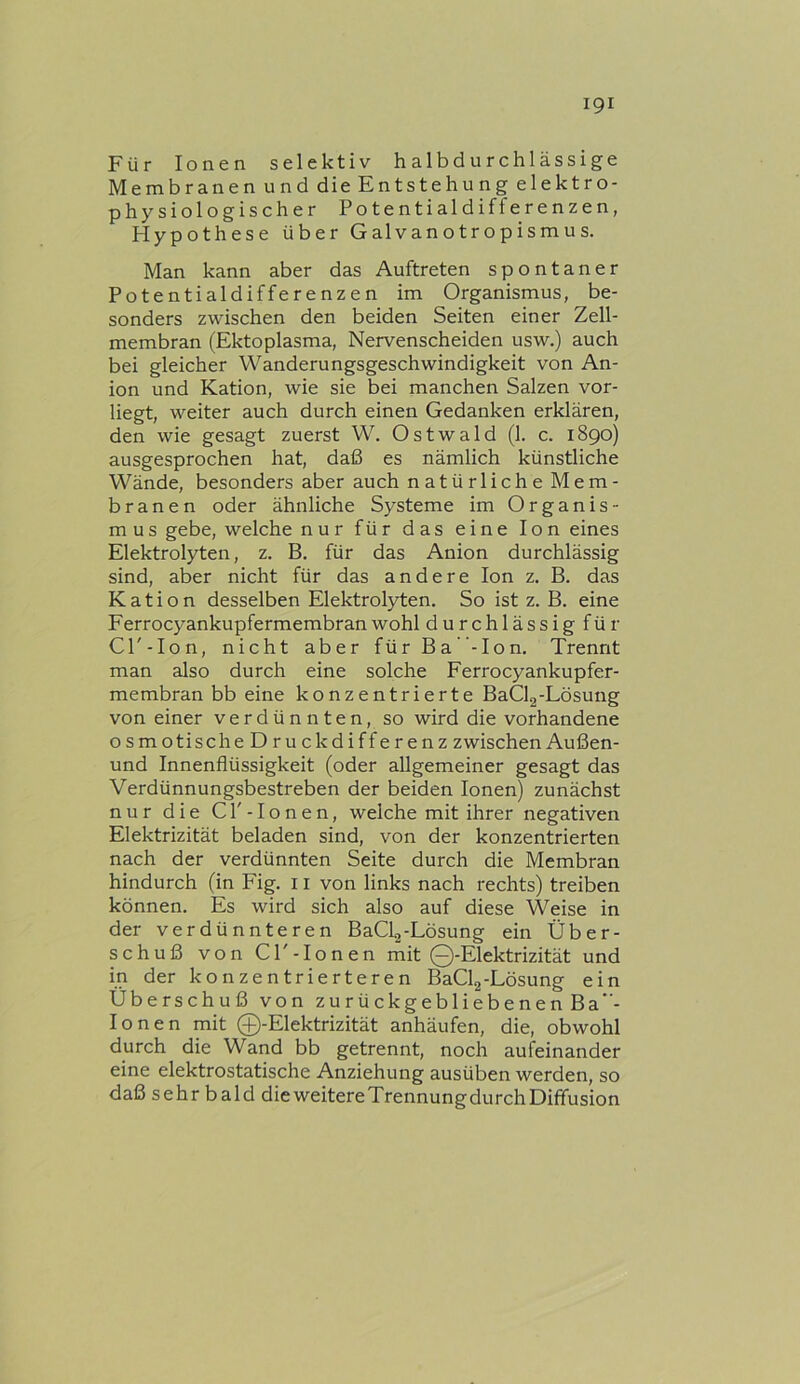 Für Ionen selektiv halbdurchlässige Membranen und die Entstehung elektro- physiologischer Potential differenzen, Hypothese über Galvanotropismus. Man kann aber das Auftreten spontaner Potentialdifferenzen im Organismus, be- sonders zwischen den beiden Seiten einer Zell- membran (Ektoplasma, Nervenscheiden usw.) auch bei gleicher Wanderungsgeschwindigkeit von An- ion und Kation, wie sie bei manchen Salzen vor- liegt, weiter auch durch einen Gedanken erklären, den wie gesagt zuerst W. O s t w a 1 d (1. c. 18go) ausgesprochen hat, daß es nämlich künstliche Wände, besonders aber auch natürliche Mem- branen oder ähnliche Systeme im Organis- mus gebe, welche nur für das eine Ion eines Elektrolyten, z. B. für das Anion durchlässig sind, aber nicht für das andere Ion z. B. das Kation desselben Elektrolyten. So ist z. B. eine Ferrocyankupfermembranwohl durchlässig für Cl'-Ion, nicht aber fürBa ”-Ion. Trennt man also durch eine solche Ferrocyankupfer- membran bb eine konzentrierte BaClg-Lösung von einer verdünnten, so wird die vorhandene osmotischeDruckdifferenz zwischen Außen- und Innenflüssigkeit (oder allgemeiner gesagt das Verdünnungsbestreben der beiden Ionen) zunächst nur die CT- Ionen, welche mit ihrer negativen Elektrizität beladen sind, von der konzentrierten nach der verdünnten Seite durch die Membran hindurch (in Fig. 11 von links nach rechts) treiben können. Es wird sich also auf diese Weise in der verdünnteren BaCL-Lösung ein Über- schuß von CP-Ionen mit Q-Elektrizität und in der konzentrierteren BaClg-Lösung ein Überschuß von zurückgebliebenen Ba“- lonen mit Q-Elektrizität anhäufen, die, obwohl durch die Wand bb getrennt, noch aufeinander eine elektrostatische Anziehung ausüben werden, so daß sehr bald dieweitereTrennungdurchDiffusion