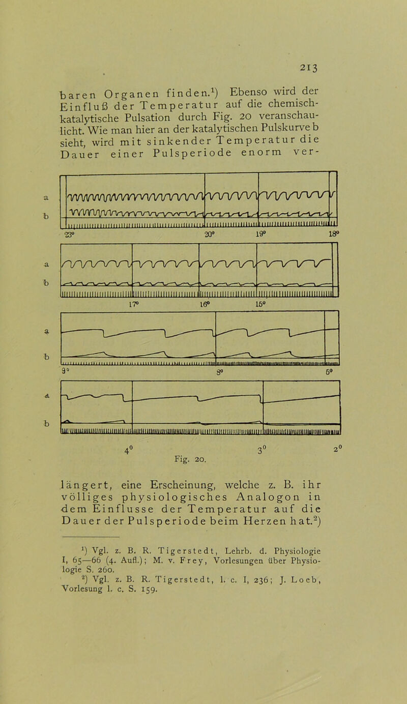baren Organen finden.^) Ebenso wird der Einfluß der Temperatur auf die chemisch- katalytische Pulsation durch Fig. 20 veranschau- licht. Wie man hier an der katalytischen Pulskurve b sieht, wird mit sinkender Temperatur die Dauer einer Pulsperiode enorm ver- a b a b 'vvww\fw\r^^ V\ATl/lAnnrvvnr\nrun/-\/^^ wwvi / ' imimiiliiiiiliiilllliiililiinLiiiiimiliiimi llllllllllllllllllll iiiimiiiiiiiiiiiiiilliiii U 23“ 20“ 19“ 18“ nr\/\r\r\r\j iiimiiiiiiiiiiiiiiiuiiiii iiiiiiiiiiiiiiimiiMiJ iii|iiiiiiiiiiiiiiiiiiiiiiiiii 17“ 16“ 16“ längert, eine Erscheinung, welche z. B. ihr völliges physiologisches Analogon in dem Einflüsse der Temperatur auf die Dauer der Pulsperiode beim Herzen hat.^) ') Vgl. z. B. R. Tigerstedt, Lehrb. d. Physiologie I, 65—66 (4. Aufl.); M. v. Frey, Vorlesungen über Physio- logie S. 260. Vgl. z. B. R. Tigerstedt, 1. c. I, 236; J. Loeb, Vorlesung 1. c. S. 159.