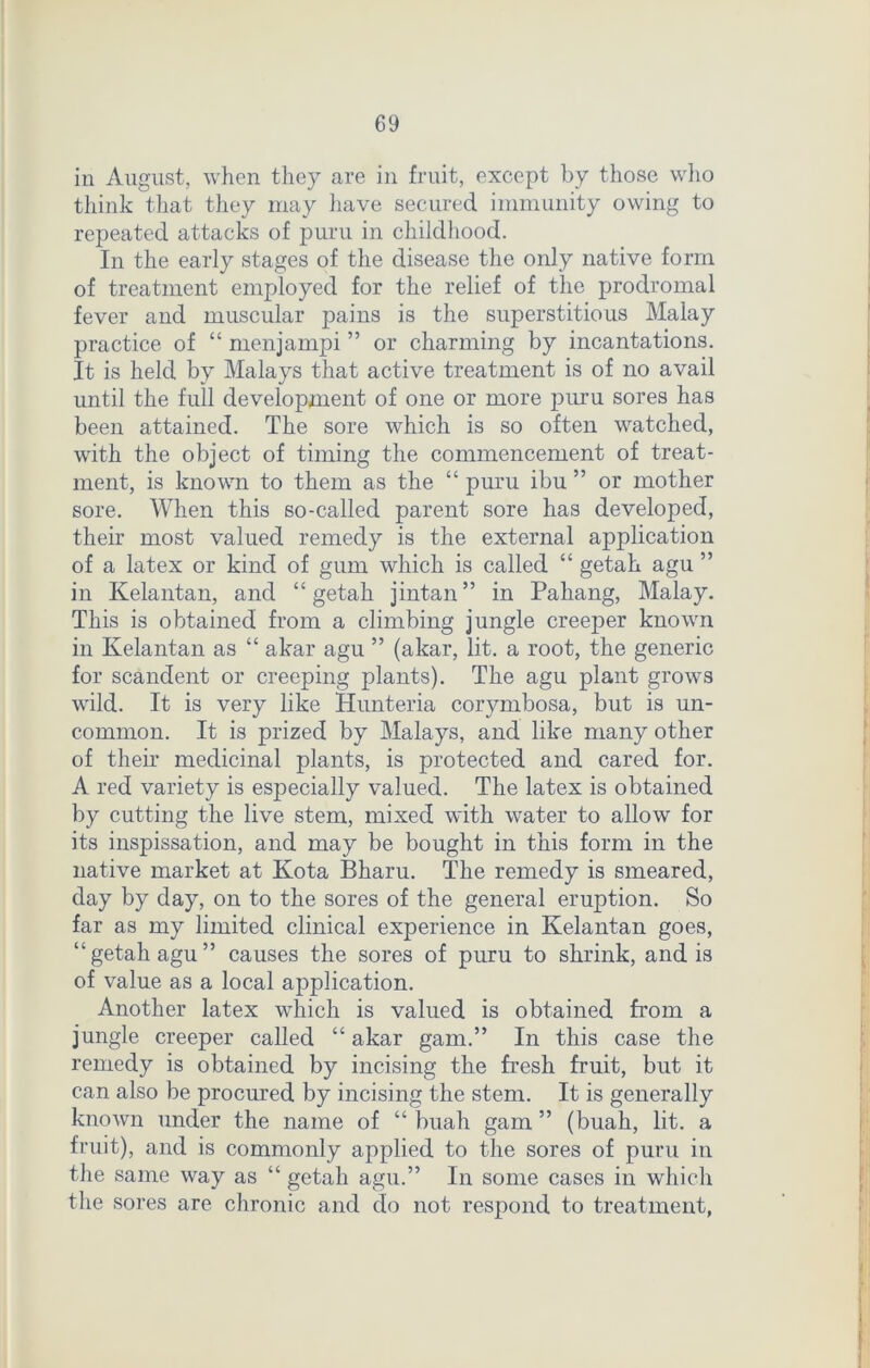 in August, when they are in fruit, except by those who think that they may have secured immunity owing to repeated attacks of puru in childhood. In the early stages of the disease the only native form of treatment employed for the relief of the prodromal fever and muscular pains is the superstitious Malay practice of “ menjampi ” or charming by incantations. It is held by Malays that active treatment is of no avail until the full development of one or more puru sores has been attained. The sore which is so often watched, with the object of timing the commencement of treat- ment, is known to them as the “ puru ibu ” or mother sore. When this so-called parent sore has developed, their most valued remedy is the external application of a latex or kind of gum which is called “ getah agu ” in Kelantan, and “getah jintan” in Pahang, Malay. This is obtained from a climbing jungle creeper known in Kelantan as “ akar agu ” (akar, lit. a root, the generic for scandent or creeping plants). The agu plant grows wild. It is very like Hunteria corymbosa, but is un- common. It is prized by Malays, and like many other of their medicinal plants, is protected and cared for. A red variety is especially valued. The latex is obtained by cutting the live stem, mixed with water to allow for its inspissation, and may be bought in this form in the native market at Kota Bharu. The remedy is smeared, day by day, on to the sores of the general eruption. So far as my limited clinical experience in Kelantan goes, “getah agu” causes the sores of puru to shrink, and is of value as a local application. Another latex which is valued is obtained from a jungle creeper called “ akar gam.” In this case the remedy is obtained by incising the fresh fruit, but it can also be procured by incising the stem. It is generally known under the name of “ buah gam ” (buah, lit. a fruit), and is commonly applied to the sores of puru in the same way as “ getah agu.” In some cases in which the sores are chronic and do not respond to treatment,