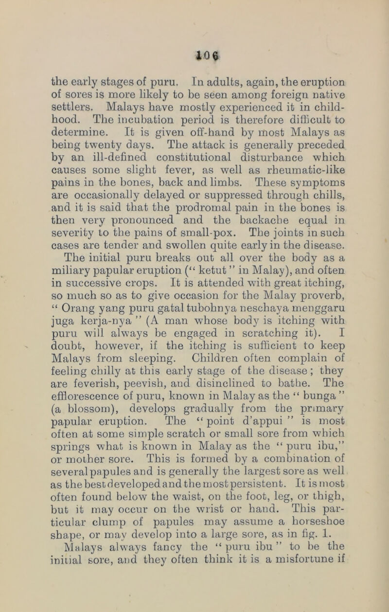 the early stages of puru. In adults, again, the eruption of sores is more likely to be seen among foreign native settlers. Malays have mostly experienced it in child- hood. The incubation period is therefore difficult to determine. It is given off-hand by most Malays as being twenty days. The attack is generally preceded by an ill-defined constitutional disturbance which causes some slight fever, as w'ell as rheumatic-like pains in the bones, back and limbs. These symptoms are occasionally delayed or suppressed through chills, and it is said that the prodromal pain in the bones is then very pronounced and the backache equal in severity to the pains of small pox. The joints in such cases are tender and swollen quite early in the disease. The initial puru breaks out all over the body as a miliary papular eruption (“ ketut ” in Malay), and often in successive crops. It is attended with great itching, so much so as to give occasion for the Malay proverb, “ Orang yang puru gatal tubohnya neschaya menggaru juga kerja-nya ” (A man whose body is itching with puru will always be engaged in scratching it). I doubt, however, if the itching is sufficient to keep Malays from sleeping. Children often complain of feeling chilly at this early stage of the disease; they are feverish, peevish, and disinclined to bathe. The efflorescence of puru, known in Malay as the “ bunga ” (a blossom), develops gradually from the primary papular eruption. The “ point d’appui ” is most often at some simple scratch or small sore from which springs what is known in Malay as the “ puru ibu,” or mother sore. This is formed by a combination of several papules and is generally the largest sore as well as the best developed and the mostpersistent. It is most often found below the waist, on the foot, leg, or thigh, but it may occur on the wrist or hand. This par- ticular clump of papules may assume a horseshoe shape, or may develop into a large sore, as in fig. 1. Malays always fancy the “puru ibu” to be the initial sore, and they often think it is a misfortune if