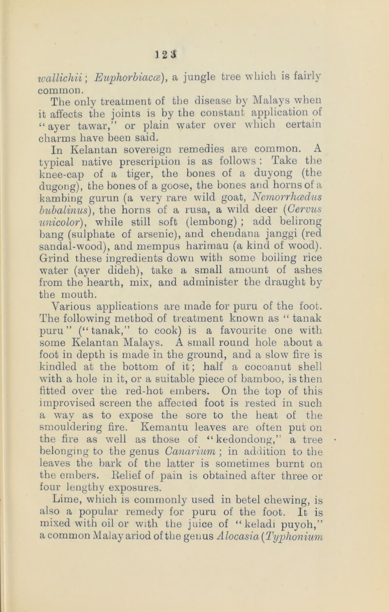 wallichii; Euphorbiaccc), a jungle tree which is fairly common. The only treatment of the disease by Malays when it affects the joints is by the constant application of “ ayer tawar,” or plain water over which certain charms have been said. In Kelantan sovereign remedies are common. A typical native prescription is as follows : Take the knee-cap of a tiger, the bones of a duyong (the dugong), the bones of a goose, the bones and horns of a kambing gurun (a very rare wild goat, Ncmorrhadus bubalmus), the horns of a rusa, a wild deer (Gervus unicolor), while still soft (lembong) ; add belirong bang (sulphate of arsenic), and cheudana janggi (red sandal-wood), and mempus harimau (a kind of wood). Grind these ingredients down with some boiling rice water (ayer dideh), take a small amount of ashes from the hearth, mix, and administer the draught by the mouth. Various applications are made for puru of the foot. The following method of treatment known as “ tanak puru” (“tanak,” to cook) is a favourite one with some Kelantan Malays. A small round hole about a foot in depth is made in the ground, and a slow fire is kindled at the bottom of it; half a cocoanut shell with a hole in it, or a suitable piece of bamboo, is then fitted over the red-hot embers. On the top of this improvised screen the affected foot is rested in such a way as to expose the sore to the heat of the smouldering fire. Kemantu leaves are often put on the fire as well as those of “ kedondong,” a tree belonging to the genus Canarium; in addition to the leaves the bark of the latter is sometimes burnt on the embers. Belief of pain is obtained after three or four lengthy exposures. Lime, which is commonly used in betel chewing, is also a popular remedy for puru of the foot. It is mixed with oil or with the juice of “ keladi puyoh,” a common Malay ariod of the genus Alocasia (Typhonium
