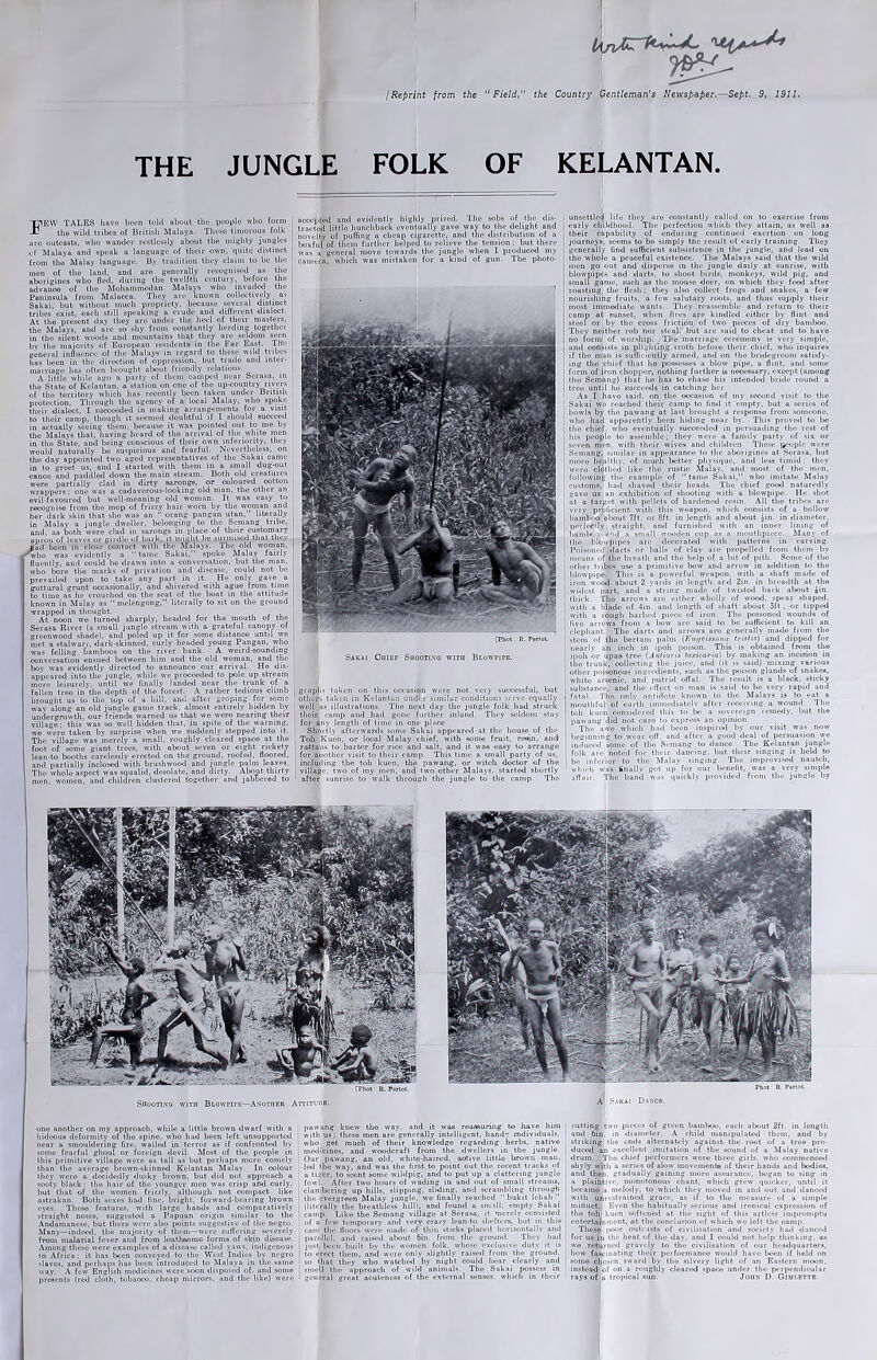 /Reprint from the lA/ifc **£- ‘Field, the Country gentleman's Newspaper.—Sept. 9, 1911. THE JUNGLE FOLK OF KELANTAN. EEW TALES have been told about tho people who form the wild tribes of British Mulaya. These timorous folk j aro outcasts, who wander restlessly about the mighty jungles of Malaya and speak a language of their own, quite; distinct I from the Malay language. By tradition they claim to be the men of tho land, and aro generally recognised as the j aborigines who fled, during tho twelfth century, before the | advance of tho Mohammedan Malays who invaded the Peninsula from Malacca. They arc known collectively ns Sakai, but without much propriety, because several distinct tribes exist, each still speaking a crude nnd different dialect. At tho present day they arc under the heel of their masters, tho Malays, and are so shy from constantly herding together in tho silent woods and mountains that they are seldom seen bv tho majority of European residents in tho Far East. Tlfc general influence of tho Malays in regard to these wild tribes has boon in the direction of oppression, but trade and inter- marriage has often brought about friendly relations. A littJo while ago a party of them oamped nour Serosa, in the Stnto of Kelantan, a station on one of the up-country rivers of tho territory which has recently been taken under British protection. Through tho agency of a local Malay, who spoke their dialect, I succeeded in making arrangements for a visit to their camp, though it seemed doubtful if I should succeed in actually seeing them, because it was pointed out to me by the Malays that, having heard of tho arrival of tho white men in tho State, and being conscious of their own inferiority, they would naturally be suspicious and fearful. Nevertheless, on the day appointed two aged representatives of the Sakai came in to greet us, and I started with them in a small dug-out canoe and paddled down the main stream. Both old creatures were partially clad in dirty sarongs, or coloured cotton wrappers; one was a cadaverous-looking old man, the other an evil-fnvoured but well-meaning old woman. It was easy to recognise from the mop of frizzy hair worn by the woman and her dark skin that she was an *' orang pangan utan, ’ literally in Malay a jungle dweller, belonging to the Semang tribe, and, as both were clad in sarongs in place of their customary apron of leaves or girdle of bul k, it might be surmised that they had been in close contact with the Malays. The old woman, ■who was evidently a “ tame Snkai,” spoke Malay fairly fluently, nnd could be drawn into n conversation, but the man, who bore tho marks of privation and disease, could not be prevailed upon to take any part in it. He only gave a , guttural grunt occasionally, and shivered with ague from time to time as he crouched on the seat of the boat in the attitude known in Malay as “ melengong,” literally to sit on tho ground ■■yrappod in thought. At noon wo turned sharply, headed for tho mouth of the Serasa River (a small jungle stream with a grateful canopy of greenwood shade), and poled up it for some distanoo until we met a stalwart, dark-skinned, curly headed young Pangan, who was felling bamboos on the river bank. A weird-sounding conversation ensued between him and the old woman, and the boy was evidently directed to announce our arrival. Ho dis- appeared into the jungle, while we proceeded to pole up stream more leisurely, until we finally landed near the trunk of a fallen tree in'tho depth of tho forest. A rather tedious climb : brought us to tho lop of a hill, and after groping for some way along an old jungle game track, almost entirely hidden by undergrowth, our friends warned us that we were nearing their village; this was so well hidden that, in spite of tho warning, wo were taken by surprise when wo suddenly stepped into it. The village was merely a small, roughly cleared space at tho : foot of some giant trees, with about seven or eight rickety lean-to booths carelessly erected on the ground, roofed, floored, and partially inclosed with brushwood and jungle palm loaves. Tho wholo aspect was squalid, desolate, and dirty. About thirty j men, women, and children clustered together nnd jabbered to accepted tracted little novelty of boxful of The sobs of the dis- way to the delight and and the distribution of a tho tension ; but there when I produced my of gun. The photo- [Phot: R. Portot. Sakai Chief Shooting with Blowpipe. graph' taken on this occasion were not very successful, but others taken in Kelantan undtr similar conditions serve equally well as illustrations. Tho next day the jungle folk had struck their camp and had gone further inland. They seldom stay for any length of time in one place Shortly afterwards some Sakai appeared at the house of the Toh Kuen, or looal Malay chief, with some fruit, reein, and rattans to barter for rice and salt, and it was easy to arrange for another visit to their camp. This time a small party of us, including the toh kuen, the pawang, or witch doctor of tho village, two of my men, nnd two other Malays, started shortly after sunrise to walk through the jungle to the camp. Tho unsettled life they aro constantly called on to excrciso from early childhood. The perfection which they attain, as well as their capability of enduring continued exertion on long journeys, seems to bo simply the result of early training. They generally lind sufficient subsistence in the jungle, and lead on tho whole a peaceful existence. The Malays suid that tho wild men go out and disperse in the jungle daily at sunrise, with blowpipes and darts, to shoot birds, monkeys, wild pig, und small game, such as tho mouse deer, on which they feed after roasting; the flesh; they nlso collect frogs and snakes, a few nourishing fruits, a few salutary roots, und thus sujjply their most immediate wants. They reassemble and return to their camp at sunset, when fires are kindled cither by flint and steel or by tho cross friction of two pieces of dry bamboo. They neither rob nor steal, but arc said to cheat and to have no form of worship. The marriage ceremony is very simple, nnd consists in plighting troth before their chief, who inquires if tho man is sufficiently armed, and on the bridegroom satisfy- ing tho Ichief that ho possesses a blow pipe, a flint, and some form of iron chopper, nothing further is necessary, except (among llio Semhng) that ho has to chase his intended bride round a treo until ho succeeds in catching her. As I have said, on the occasion of my second visit to tho j Sakai wo reached their camp to find it empty, but a series of I howls by tho pawang at last brought a response from someone, who had apparently been hiding near by. This proved to bo tho chief, who eventually succeeded in persuading the rest of his peojilo to assemble; they were a family party of six or seven men, with their wives and children These people were Semang, similar in appearance to tho aborigines at Sorasa, but moro healthy, of much better physique, and less timid ; they wero clothed like tho rustic Malay, nnd most of the men, following tho example of “ tamo Sakai,” who imitate Malay customs,! had shaved their heads. The chief good naturedly gavo us an exhibition of shooting with a blowpipe. He shot at a target with pellets of hardened resin. All tho tribes are very proficient, with this weapon, which consists of a hollow bumboo about 7ft. or 8ft. in length nnd about iin. in diameter, perfectly l straight, and furnished with an inner lining of Immlx ? and n small wooden cup as a mouthpiece. Many of tho blbwpipes are decorated with patterns in carving. Poisoned darts or balls of clay are propelled from them by means of tho breath nnd the help of a hit of pith. Some of the other tribes use a primitive bow and arrow in addition to the blowpipe. This is a powerful wenpon, with a shaft made of | iron wood about 2 yards in length nrd 2in. in breadth at the I widest part, and a string made of twisted bark about £in. [ thick. Tho arrows are either wholly of wood, spear shaped, with a blade of 4in. and length of shaft about 3ft., or tipped with a rough barbed piece of iron. The poisoned wounds of (ivo arrows from a bow aro said to be sufficient to kill an elephant. The darts and arrows aro generally made from tho stem of tho bertam palm (Euycissomi tristis) and dipped for I nearly an inch in ipoh poison. This is obtained from the I ipoh or upas tree (Antiaris toxicaria) by making an incision in tho trunk, collecting tho juice, and (it is said) mixing various ' other poisonous ingredients, such as the poison glands of snakes, white arsenic, and putrid offal. Tho result is a black, sticky I substance, and tho . licet on man is said to bo very rapid and fatal. Tho onlv antidote known to the Malays is to eat a mouthful of earth immediately after receiving a wound. Tho toh kuen considered this to be a sovereign remedy, but the pawang did not care to express an opinion. Tho awe which had been inspired by our visit was now beginning to wear off. and after a good deal of persuasion we induced some of tho Semang to dance. The Kelantan jungle folk are noted for their dancing, but their singing is held to bo inferior to the Malay singing. Tho improvised nnutch, which was finally got up for our benefit, was a very simple affair. The band was quickly provided from tho jungle by Shooting with Blowpipe—Another Attitude. ono another on my approach, while a little brown dwarf with a hideous deformity of tho spine, who had been left unsupported near a smouldering fire, wailed in terror as if confronted by some fearful ghoul or foreign devil. Most of the people in this primitive village were as tall as but perhaps more comely than tho average brown-skinned Kelantan Malay. In colour they were a decidedly dusky brown, but did not approach a sooty black ; tho hair of the younger men was crisp and curly, but that of the women frizzly, although not compact like nstrakan. Both sexes had fine, bright, forward-bearing brown eyes. These features, with large hands and comparatively straight noses, suggested a Papuan origin similar to the Andamanese, but there were also points suggestive of the negro. Many—indeed, the majority of them—were suffering severely from malarial fever and from loathsome forms of skin disease. Among these were examples of a disease called yaws, indigenous to Africa; it has been conveyed to the West Indies by negro slaves, nnd perhaps has been introduced to Malaya in the same way. A few English medicines were soon disposed of. and some presents (red cloth, tobnoco, cheap mirrors, nnd the like) were pawang knew tho way, and it was reassuring to have him with us; these men are generally intelligent, handy individuals, who get much of their knowledge regarding herbs, native medicines, and woodcraft from the dwellers in the jungle. Our pawang, an old, white-haired, active little brown man, led tho way, nnd was the first to point out tho recent tracks of a tiger, to scent some wildpig, and to put up a clattering jungle fowl. After two hours of wading in and out of small streams, clambering up hills, slipping, sliding, and scrambling through tho evergreen Malay jungle, wo finally reached “bukit lehah ” (literally the breathless hill), and found a small, empty Sakai camp. Like tho Semang villago at Serasa, it merely consisted of a few temporary and very crazy lean-to shelters, but in this case the floors were made of thin sticks plnced horizontally and | parallel, and raised about 6in. from the ground. They had just, been built by the women folk, whose exclusive duty it is | to erect them, and were only slightly raised from tho ground, so that they who watched by night could hear clearly and smell the approach of wild animals. Tho Sakni possess in I general great acuteness of the external senses, which in their cutting jtwo pieces of green bumboo, ouch about 2ft. in length and 6in. in diameter. A child manipulated them, and by striking the ends alternately against the root of a tree pro- duced an excellent imitation of the sound of a Malay native drum. The chief performers were three girls, who commenced shyly wjtli a scries of slow movements of their hands and bodies, and then, gradually gaining moro assurance, began to sing in a plaintive, monotonous chant, which grew quicker, until it bix-amo |a melody, to which they moved in and out and danced with unrestrained grace, as it to tho measure of a simple minuet. Even the habitually serious nnd ironical expression of tho tohj kuen softened nt the sight of this artless impromptu entertainment, at. the conclusion of which wo left, the camp. These ]>oor outcasts of civilisation and society hail danced for us in the heat of tho day, and I could not. help thinking, as wo returned gravely to tho civilisation of our headquarters, how fascinating their performance would have been if held on some chosen sward by tho silvery light of an Eastern moon, instead of on a roughly cleared space under the perpendicular rays of la tropical sun. John D. Gimlette.