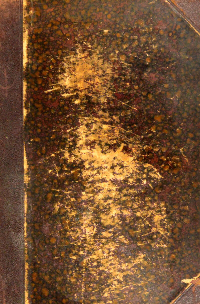 No text description is available for this image