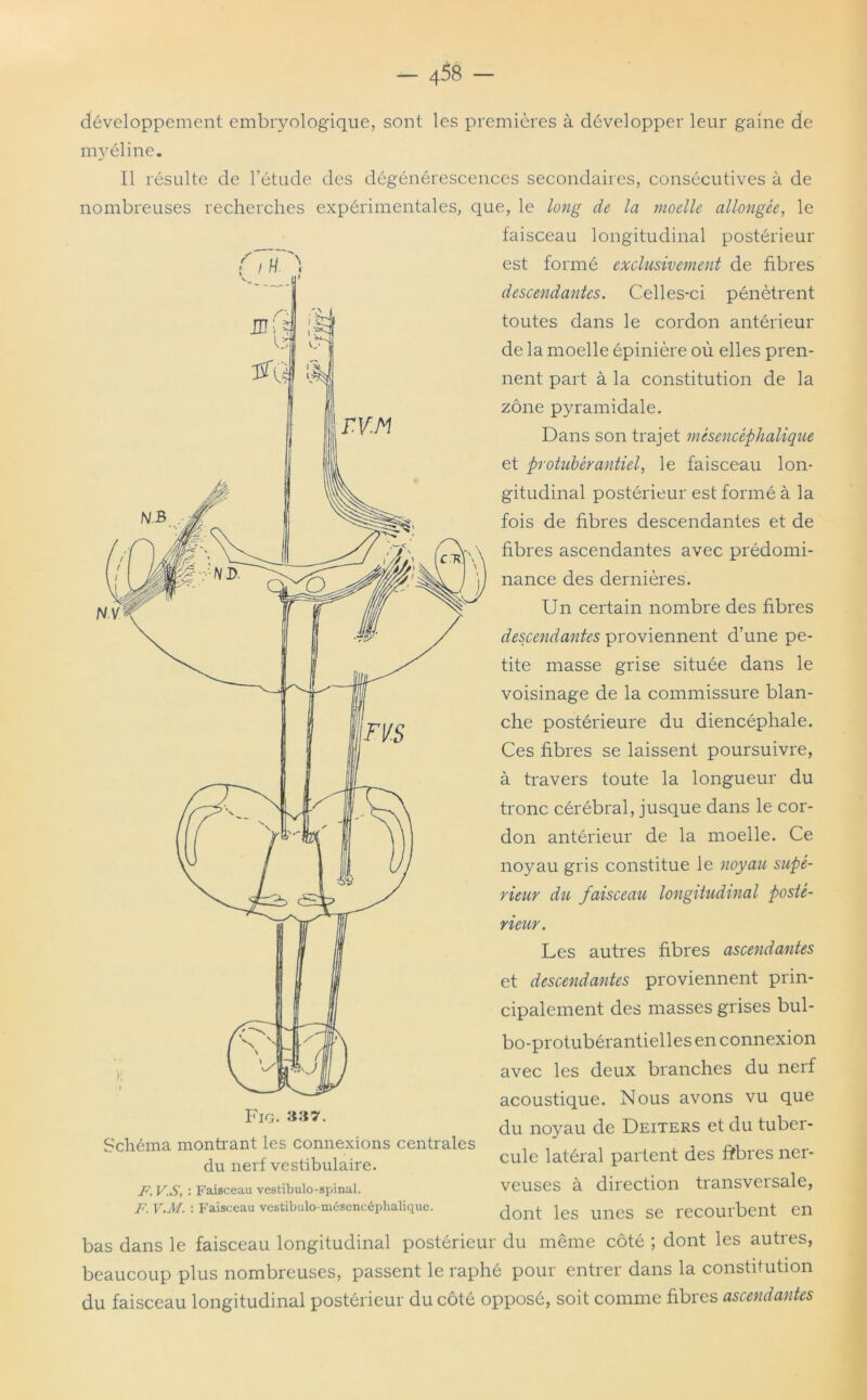 développement embryologique, sont les myéline. Il résulte de l’étude des dégénéresc nombreuses recherches expérimentales, Fig. Schéma montrant les connexions centrales du nerf vestibulaire. F. V.S, : Faisceau vestibulo-spinal. F. V.M. : Faisceau vestibulo-mésencéphalique. premières à développer leur gaine de :ences secondaires, consécutives à de que, le long de la moelle allongée, le faisceau longitudinal postérieur est formé exclusivement de fibres descendantes. Celles-ci pénètrent toutes dans le cordon antérieur de la moelle épinière où elles pren- nent part à la constitution de la zone pyramidale. Dans son trajet mèsencèphalique et prohiberantiel, le faisceau lon- gitudinal postérieur est formé à la fois de fibres descendantes et de fibres ascendantes avec prédomi- nance des dernières. Un certain nombre des fibres descendantes proviennent d’une pe- tite masse grise située dans le voisinage de la commissure blan- che postérieure du diencéphale. Ces fibres se laissent poursuivre, à travers toute la longueur du tronc cérébral, jusque dans le cor- don antérieur de la moelle. Ce noyau gris constitue le noyau supé- rieur du faisceau longitudinal posté- rieur. Les autres fibres ascendantes et descendantes proviennent prin- cipalement des masses grises bul- bo-protubérantielles en connexion avec les deux branches du nerf acoustique. Nous avons vu que du noyau de Deiters et du tuber- cule latéral partent des fîbres ner- veuses à direction transversale, dont les unes se recourbent en bas dans le faisceau longitudinal postérieur du même côté ; dont les autres, beaucoup plus nombreuses, passent le raphé pour entrer dans la constitution du faisceau longitudinal postérieur du côté opposé, soit comme fibres ascendantes