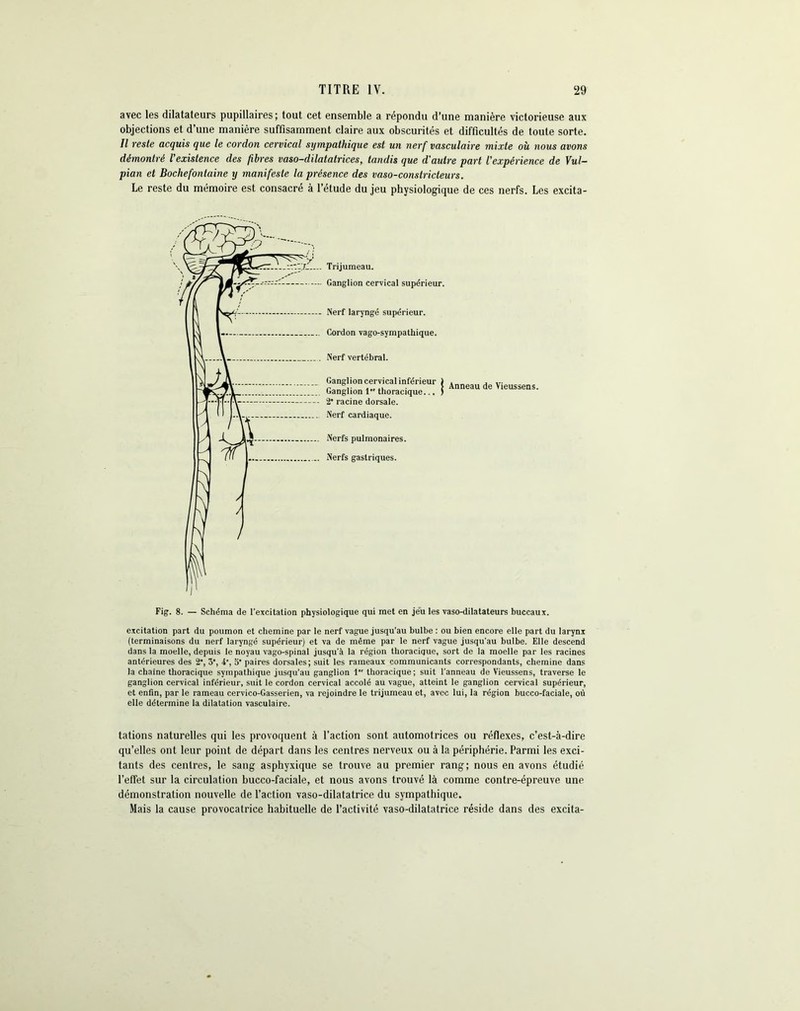 avec les dilatateurs pupillaires; tout cet ensemble a répondu d’une manière victorieuse aux objections et d’une manière suffisamment claire aux obscurités et difficultés de toute sorte. Il reste acquis que le cordon cervical sympathique est un nerf vasculaire mixte où nous avons démontré l'existence des fibres vaso-dilatatrices, tandis que d'autre part l'expérience de Vul- pian et Bochefontaine y manifeste la présence des vaso-constricteurs. Le reste du mémoire est consacré à l’étude du jeu physiologique de ces nerfs. Les excita- de Vieussens. Fig. 8. — Schéma de l'excitation physiologique qui met en jeu les vaso-dilatateurs buccaux. excitation part du poumon et chemine par le nerf vague jusqu’au bulbe : ou bien encore elle part du larynx (terminaisons du nerf laryngé supérieur) et va de même par le nerf vague jusqu'au bulbe. Elle descend dans la moelle, depuis le noyau vago-spinal jusqu'à la région thoracique, sort de la moelle par les racines antérieures des 2-, 3*, 4% 5- paires dorsales; suit les rameaux communicants correspondants, chemine dans la chaîne thoracique sympathique jusqu’au ganglion 1 thoracique ; suit l'anneau de Vieussens, traverse le ganglion cervical inférieur, suit le cordon cervical accolé au vague, atteint le ganglion cervical supérieur, et enfin, par le rameau cervico-Gasserien, va rejoindre le trijumeau et, avec lui, la région bucco-faciale, où elle détermine la dilatation vasculaire. tâtions naturelles qui les provoquent à l’action sont automotrices ou réflexes, c’est-à-dire qu’elles ont leur point de départ dans les centres nerveux ou à la périphérie. Parmi les exci- tants des centres, le sang asphyxique se trouve au premier rang; nous en avons étudié l’effet sur la circulation bucco-faciale, et nous avons trouvé là comme contre-épreuve une démonstration nouvelle de l’action vaso-dilatatrice du sympathique. Mais la cause provocatrice habituelle de l’activité vaso-dilatatrice réside dans des excita-