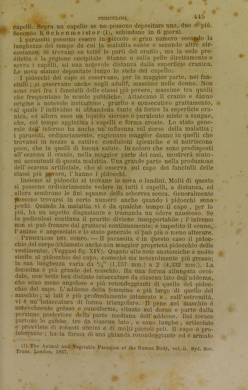 capelli. Sopra un capello se ne possono depositare uno, due o piu. Secondo Kiichenmeister (1), sehiudono in 6 giorni. I parassiti possono essere in piccolo o gran numero' secondo la lunghezza del tempo da cui la malattia esiste e secondo altre cir- costanze. Si trovano su tutte le parti del cranio, ma la sede pre- diletta e la regione occipitale Stanno o sulla pelle direttamente o sovra i capelli, ad una notevole distanza dalla superficie cranica. Le uova stanno depositate lungo lo stelo del capello. I pidocchi del capo si osservano, per la maggior parte, nei fan- ciulli ; si osservano anche negli adultf, massirne nelle donne. Non sono rari fra i fanciulli delle classi piu povere, massime tra quelli che frequentano le scuole pubbliche. Attaccano il cranio e danno origine a notevole irritazione , prurito e consecutivo grattamento, al quale 1! individuo si abbandona tanto da ferire la superficie cra- nica, ed allora esce un liquido sieroso o purulento misto a sangue, che, col tempo agglutina i capelli e forma croste. Lo stato gene- rale dell’ infermo ha anche un’ influenza sul corso della malattia ; i parassiti, ordinariamente, oagionano maggior danno in quelli che trovansi in mezzo a cattive condizioni igieniche e si nutriscono poco, che in quelli di buona salute. In coloro che sono predisposti all’eczema il cranio, nella maggior parte dei casi, mostrent sinto- mi accentuati di questa malattia. Una grande parte nella produzione dell’ eczema artificiale, che si osserva sul capo dei fanciulli delle classi piu povere, 1’ hanno i pidocchi. Insieme ai pidocchi si trovano le uova o lendini. Molti di queste si possono ordinariamente vedere in tutti i capelli, a distanza, ed allora sembrano le fini squame della seborrea secca. Generalmente possono trovarsi in certo numero anche quando i pidocchi sono pochi. Quando la malattia vi e da qualche tempo il capo , per lo piu, ha un aspetto disgustante e tramanda un odore nauseoso. Se la pediculosi continua il prurito diviene insopportabile ; 1’ infermo non si puo frenare dal grattarsi continuamente; e impedito il sonno, l’animo e angosciato e lo stato generale si pu6 piu o meno alterare. Pediculosi del corpo. — Il parassita e in questo caso il pidoc- chio del corpo (chiamato anche con maggior proprieta pidocchio delle vestimenta). (Yeggasi fig. XIV). Quanto allenote anatomiche e molto simile al pidocchio del capo, comeche sia notevolmente piu grosso; la sua lunghezza varia da */*' (1,157 mm.) a 2 (4,332 mm.). La femmina e piu grande del maschio. Ha una forma allungata ovoi- dale, con sette ben distinte intaccature da ciascun lato deH’addome, che sono meno angolose e piu rotondeggianti di quelle del pidoc- chio del capo. L’ addome della femmina e piu largo di quello del maschio ; ai lati e piu profondamente intaccato e , sull’ estremitd, vi e un intaccatura di forma triangolare. Il pene nel maschio e notevolmente grosso e cuneiforme, situato sul dorso e parte dalla porzione posteriore della parte mediana dell’ addome. Dal torace partono le gambe, tre da ciascun lato , e sono lunghe , articolate e provviste di robusti uncini e di molti piccoli peli. Il capo e pro- tuberante ; ha la forma di una ghianda rotondeggiante ed e armato (!) Hie Animal and Vegetable Parasites of the Human Body, vol. ii. Syd. Soc.