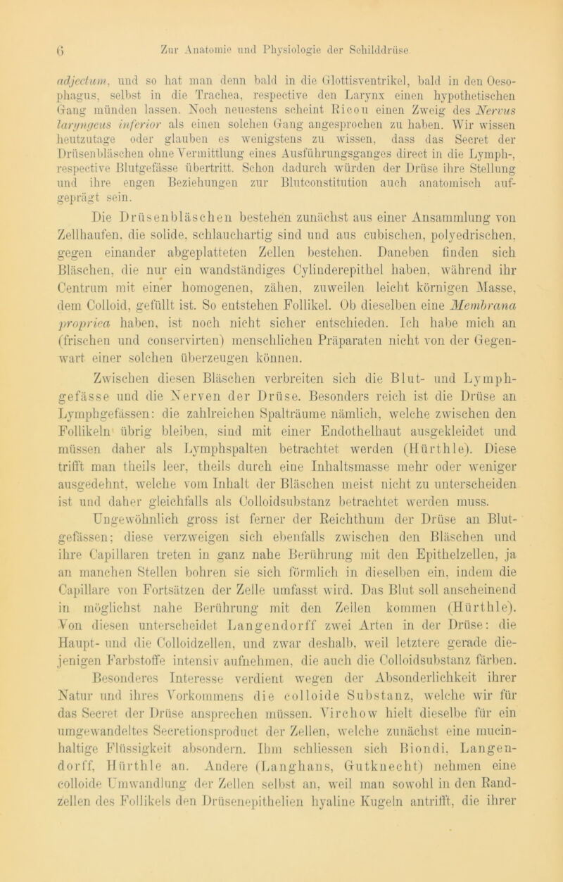 adjectum, und so hat man denn bald in die Glottisventrikel, bald in den Oeso- phagus, selbst in die Trachea, respective den Larynx einen hypothetischen Gang münden lassen. Noch neuestens scheint Eicon einen Zweig des Nervus laryngeus inferior als einen solchen Gang angesprochen zu haben. Wir wissen heutzutage oder glauben es wenigstens zu wissen, dass das Secret der Drüsenbläschen ohne Vermittlung eines Ausführungsganges direct in die Lymph-, respective Blutgefässe Übertritt. Schon dadurch würden der Drüse ihre Stellung und ihre engen Beziehungen zur Blutconstitution auch anatomisch auf- geprägt sein. Die Drüsenbläschen bestehen zunächst aus einer Ansammlung von Zellhaufen, die solide, schlauchartig sind und aus cubischen, polyedrischen. gegen einander abgeplatteten Zellen bestehen. Daneben finden sich Bläschen, die nur ein wandständiges Cylinderepithel haben, während ihr Centrum mit einer homogenen, zähen, zuweilen leicht körnigen Masse, dem Colloid, gefüllt ist. So entstehen Follikel. Ob dieselben eine Membrana propriea haben, ist noch nicht sicher entschieden. Ich habe mich an (frischen und conservirten) menschlichen Präparaten nicht von der Gegen- wart einer solchen überzeugen können. Zwischen diesen Bläschen verbreiten sich die Blut- und Lymph- gefässe und die Nerven der Drüse. Besonders reich ist die Drüse an Lymphgefässen: die zahlreichen Spalträume nämlich, welche zwischen den Follikeln übrig bleiben, sind mit einer Endothelhaut ausgekleidet und müssen daher als Lymphspalten betrachtet werden (Hürthle). Diese trifft man theils leer, theils durch eine Inhaltsmasse mehr oder weniger ausgedehnt, welche vom Inhalt der Bläschen meist nicht zu unterscheiden ist und daher gleichfalls als Colloidsubstanz betrachtet werden muss. Ungewöhnlich gross ist ferner der Reichthum der Drüse an Blut- gefässen; diese verzweigen sich ebenfalls zwischen den Bläschen und ihre Capillaren treten in ganz nahe Berührung mit den Epithelzellen, ja an manchen Stellen bohren sie sich förmlich in dieselben ein, indem die Capillare von Fortsätzen der Zelle umfasst wird. Das Blut soll anscheinend in möglichst nahe Berührung mit den Zeilen kommen (Hürthle). Von diesen unterscheidet Langendorff zwei Arten in der Drüse; die Haupt- und die Colloidzellen, und zwar deshalb, weil letztere gerade die- jenigen Farbstoffe intensiv aufnehmen, die auch die Colloidsubstanz färben. Besonderes Interesse verdient wegen der Absonderlichkeit ihrer Natur und ihres Vorkommens die colloide Substanz, welche wir für das Secret der Drüse ansprechen müssen. Virchow hielt dieselbe für ein umgewandeltes Secretionsproduct der Zellen, welche zunächst eine mucin- haltige Flüssigkeit absondern. Ihm sehliessen sich Biondi, Langen- dorff, Hürthle an. Andere (Langhans, Gutknecht) nehmen eine colloide Umwandlung der Zellen selbst an, weil man sowohl in den Rand- zellen des Follikels den Drüsenepithelien hyaline Kugeln antrifft, die ihrer