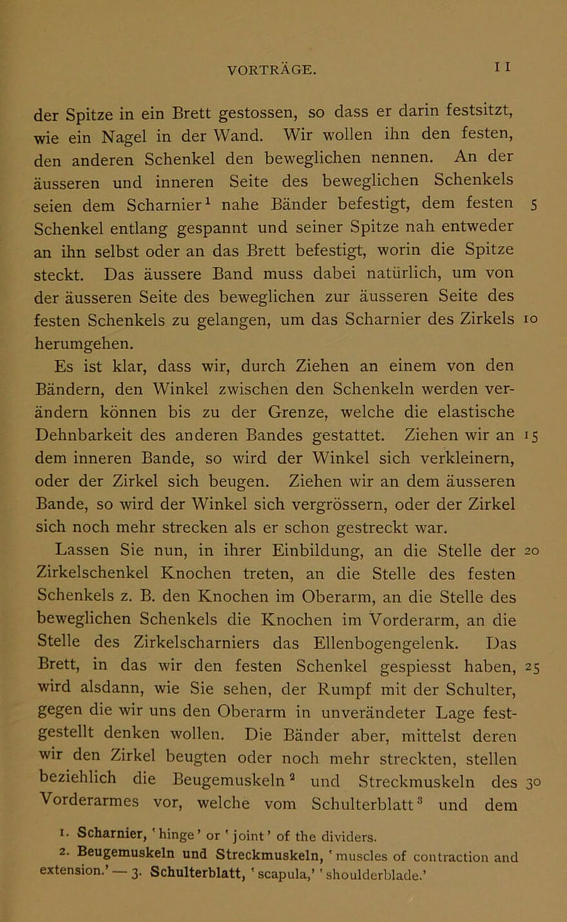 der Spitze in ein Brett gestossen, so dass er darin festsitzt, wie ein Nagel in der Wand. Wir wollen ihn den festen, den anderen Schenkel den beweglichen nennen. An der äusseren und inneren Seite des beweglichen Schenkels seien dem Scharnier^ nahe Bänder befestigt, dem festen s Schenkel entlang gespannt und seiner Spitze nah entweder an ihn selbst oder an das Brett befestigt, worin die Spitze steckt. Das äussere Band muss dabei natürlich, um von der äusseren Seite des beweglichen zur äusseren Seite des festen Schenkels zu gelangen, um das Scharnier des Zirkels lo herumgehen. Es ist klar, dass wir, durch Ziehen an einem von den Bändern, den Winkel zwischen den Schenkeln werden ver- ändern können bis zu der Grenze, welche die elastische Dehnbarkeit des anderen Bandes gestattet. Ziehen wir an 15 dem inneren Bande, so wird der Winkel sich verkleinern, oder der Zirkel sich beugen. Ziehen wir an dem äusseren Bande, so wird der Winkel sich vergrössern, oder der Zirkel sich noch mehr strecken als er schon gestreckt war. Lassen Sie nun, in ihrer Einbildung, an die Stelle der 20 Zirkelschenkel Knochen treten, an die Stelle des festen Schenkels z. B. den Knochen im Oberarm, an die Stelle des beweglichen Schenkels die Knochen im Vorderarm, an die Stelle des Zirkelscharniers das Ellenbogengelenk. Das Brett, in das wir den festen Schenkel gespiesst haben, 25 wird alsdann, wie Sie sehen, der Rumpf mit der Schulter, gegen die wir uns den Oberarm in unverändeter Lage fest- gestellt denken wollen. Die Bänder aber, mittelst deren wir den Zirkel beugten oder noch mehr streckten, stellen beziehlich die Beugemuskeln * und Streckmuskeln des 30 Vorderarmes vor, welche vom Schulterblatt ® und dem 1. Scharnier, 'hinge’ or ' joint’ of the dividers. 2. Beugemuskeln und Streckmuskeln, ' muscles of coutraction and extension.’ — 3. Schulterblatt, ' scapula,’' shoulderblade.’