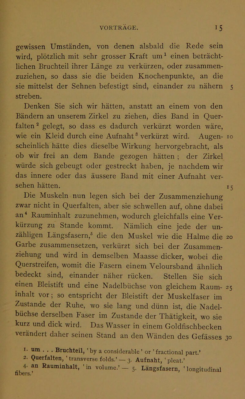 gewissen Umständen, von denen alsbald die Rede sein wird, plötzlich mit sehr grosser Kraft um^ einen beträcht- lichen Bruchteil ihrer Länge zu verkürzen, oder zusammen- zuziehen, so dass sie die beiden Knochenpunkte, an die sie mittelst der Sehnen befestigt sind, einander zu nähern 5 streben, Denken Sie sich wir hätten, anstatt an einem von den Bändern an unserem Zirkel zu ziehen, dies Band in Quer- falten ® gelegt, so dass es dadurch verkürzt worden wäre, wie ein Kleid durch eine Aufnaht® verkürzt wird. Augen- 10 scheinlich hätte dies dieselbe Wirkung hervorgebracht, als ob wir frei an dem Bande gezogen hätten ; der Zirkel würde sich gebeugt oder gestreckt haben, je nachdem wir das innere oder das äussere Band mit einer Aufnaht ver- sehen hätten. 15 Die Muskeln nun legen sich bei der Zusammenziehung zwar nicht in Querfalten, aber sie schwellen auf, ohne dabei an^ Rauminhalt zuzunehmen, wodurch gleichfalls eine Ver- kürzung zu Stande kommt. Nämlich eine jede der un- zähligen Längsfasern,® die den Muskel wie die Halme die 20 Garbe zusammensetzen, verkürzt sich bei der Zusammen- ziehung und wird in demselben Maasse dicker, wobei die Querstreifen, womit die Fasern einem Veloursband ähnlich bedeckt sind, einander näher rücken. Stellen Sie sich einen Bleistift und eine Nadelbüchse von gleichem Raum- 25 inhalt vor; so entspricht der Bleistift der Muskelfaser im Zustande der Ruhe, wo sie lang und dünn ist, die Nadel- büchse derselben Faser im Zustande der Thätigkeit, wo sie kurz und dick wird. Das Wasser in einem Goldfischbecken verändert daher seinen Stand an den Wänden des Gefässes 30 I- um . . . Bruchteil, 'by a considerable ’ or 'fractional part.’ 2. Querfalten,' transverse folds.’ — 3. Aufnaht, ' pleat.’ fibers^° Rauminhalt, ' m volume.’— 5. Längsfasern, 'longitudinal