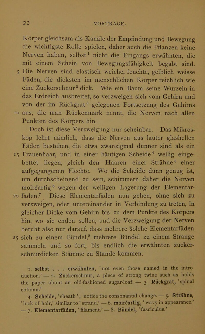 Körper gleichsam als Kanäle der Empfindung und Bewegung die wichtigste Rolle spielen, daher auch die Pflanzen keine Nerven haben, selbst^ nicht die Eingangs erwähnten, die mit einem Schein von Bewegungsfähigkeit begabt sind. 5 Die Nerven sind elastisch weiche, feuchte, gelblich weisse Fäden, die dicksten im menschlichen Körper reichlich wie eine Zuckerschnur^ dick. Wie ein Baum seine Wurzeln in das Erdreich ausbreitet, so verzweigen sich vom Gehirn und von der im Rückgrat® gelegenen Fortsetzung des Gehirns IO aus, die man Rückenmark nennt, die Nerven nach allen Punkten des Körpers hin. Doch ist diese Verzweigung nur scheinbar. Das Mikros- kop lehrt nämlich, dass die Nerven aus lauter glashellen Fäden bestehen, die etwa zwanzigmal dünner sind als ein 15 Frauenhaar, und in einer häutigen Scheide^ wellig einge- bettet liegen, gleich den Haaren einer Strähne ® einer aufgegangenen Flechte. Wo die Scheide dünn genug ist, um durchscheinend zu sein, schimmern daher die Nerven moirdartig® wegen der welligen Lagerung der Elementar- 20 fäden.^ Diese Elementarfäden nun gehen, ohne sich zu verzweigen, oder untereinander in Verbindung zu treten, in gleicher Dicke vom Gehirn bis zu dem Punkte des Körpers hin, wo sie enden sollen, und die Verzweigung der Nerven beruht also nur darauf, dass mehrere Solche Elementarfäden 25 sich zu einem Bündel,® mehrere Bündel zu einem Strange sammeln und so fort, bis endlich die erwähnten zucker- schnurdicken Stämme zu Stande kommen. I. selbst . . . erwähnten, 'not even those named in the intro duction.’ — 2. Zuckerschnur, a piece of strong twine such as holds the paper about an old-fashioned sugar-loaf. — 3. Rückgrat, ' spinal column.’ 4. Scheide,' sheath ’; notice the consonantal change. — 5. Strähne, ' lock of hair,’ similar to ' Strand.’ — 6. moirdartig,' wavy in appearance.’ — 7. Elementarfäden, ' filament.’ — 8. Bündel,'fasciculus.’