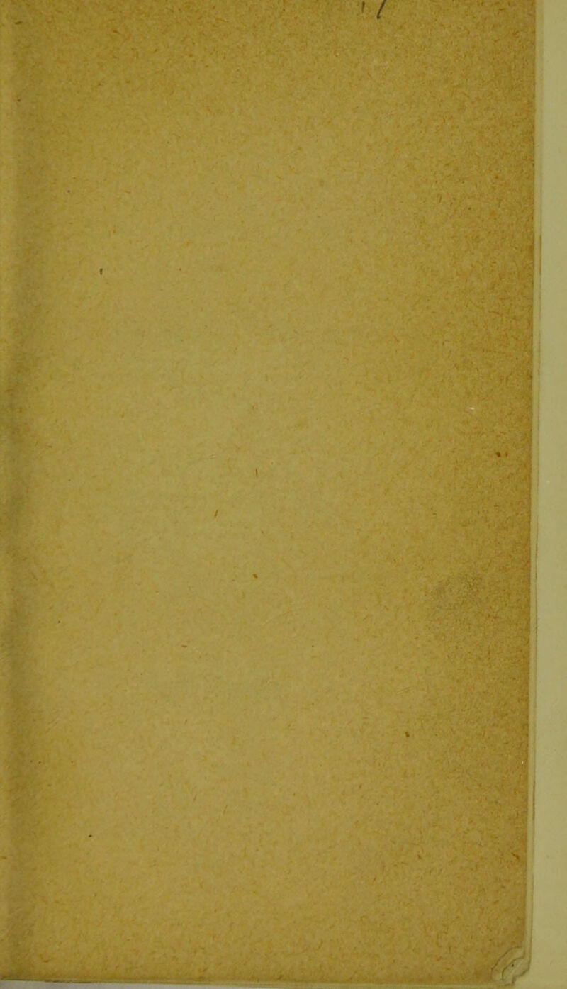 VX -f. 6 , v»' :.'fiX .X . ' '-V ■•■-i^hS.'Lr 1 'v->vK^-^' Cv-