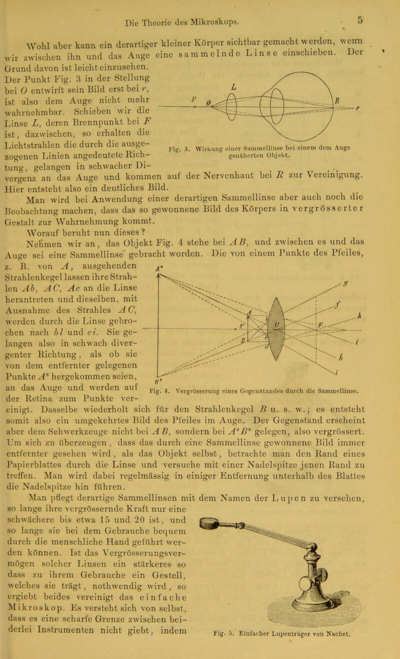 Wohl aber kann ein derartiger kleiner Körper sichtbar gemacht werden, wenn wir zwischen ihn und das Auge eine sammelnde Linse einschieben. Der Grund davon ist leicht einzusehen. Der Punkt b ig- 3 in der Stellung bei 0 entwirft sein Bild erst bei r, ist also dem Auge nicht mehr wahrnehmbar. Schieben wir die Linse L, deren Brennpunkt bei F ist, dazwischen, so erhalten die Lichtstrahlen die durch die ausge- zogenen Linien angedcutete Rich- tung, gelangen in schwacher Di- vergenz an das Auge und kommen auf der Nervenhaut bei R zur Vereinigung. Hier entsteht also ein deutliches Bild. Man wird bei Anwendung einer derartigen Sammellinse aber auch noch die Beobachtung machen, dass das so gewonnene Bild des Körpers in vergrösserte r Gestalt zur Wahrnehmung kommt. Worauf beruht nun dieses? Nehmen wir an, das Objekt Fig. 4 stehe bei AB, und zwischen es und das Auge sei eine Sammellinse gebracht worden. Die von einem Punkte des Pfeiles, z. B. von A, ausgehenden Strahlenkegel lassen ihre Strah- len Ab, AC, Ac an die Linse herantreten und dieselben, mit Ausnahme des Strahles A C, werden durch die Linse gebro- chen nach bl und ci. Sie ge- langen also in schwach diver- genter Richtung, als ob sie von dem entfernter gelegenen Punkte A* hergekommen seien, an das Auge und werden auf der Retina zum Punkte ver- einigt. Dasselbe wiederholt sich für den Strahlenkegel B u. s. w.; es entsteht somit also ein umgekehrtes Bild des Pfeiles im Auge. Der Gegenstand erscheint aber dem Sehwerkzeuge nicht bei A B, sondern bei A*B* gelegen, also vergrössert. Um sich zu überzeugen , dass das durch eine Sammellinse gewonnene Bild immer entfernter gesehen wird, als das Objekt selbst, betrachte man den Rand eines Papierblattes durch die Linse und versuche mit einer Nadelspitze jenen Rand zu treffen. Man wird dabei regelmässig in einiger Entfernung unterhalb des Blattes die Nadelspitze hin führen. Man pflegt derartige Sammellinsen mit dem Namen der Lupen zu versehen, so lange ihre vergrössernde Kraft nur eine schwächere bis etwa 15 und 20 ist, und so lange sie bei dem Gebrauche bequem durch die menschliche Hand geführt wer- den können. Ist das Vergrösserungsver- mögen solcher Linsen ein stärkeres so dass zu ihrem Gebrauche ein Gestell, welches sie trägt, notlnvendig wird , so ergiebt beides vereinigt das einfache Mikroskop. Es versteht sich von selbst, dass es eine scharfe Grenze zwischen bei- derlei Instrumenten nicht giebt, indem Fig. 5. Einfacher Lupentrliger von Nachet. Fig. 4. Vergrüsserung eines Gegenstandes durch die Sammellinse.