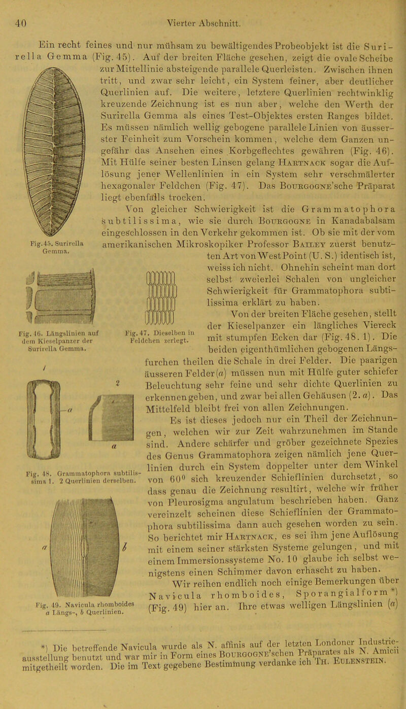 Fig. 45. Surirella Gemma. Ein recht feines und nur mühsam zu bewältigendes Probeobjekt ist die Suri- rella Gemma (Eig. 45). Auf der breiten Fläche gesehen, zeigt die ovale Scheibe zur Mittellinie absteigende parallele Querleisten. Zwischen ihnen tritt, und zwar sehr leicht, ein System feiner, aber deutlicher Querlinien auf. Die weitere, letztere Querlinien rechtwinklig kreuzende Zeichnung ist es nun aber, welche den Werth der Surirella Gemma als eines Test-Objektes ersten Ranges bildet. Es müssen nämlich wellig gebogene parallele Linien von äusser- ster Feinheit zum Vorschein kommen, welche dem Ganzen un- gefähr das Ansehen eines Korbgeflechtes gewähren (Fig. 46). Mit Hülfe seiner besten Linsen gelang Hartnack sogar die Auf- lösung jener Wellenlinien in ein System sehr verschmälerter hexagonaler Feldchen (Fig. 47). Das BouRGOGNE’sche Präparat liegt ebenfalls trocken. Von gleicher Schwierigkeit ist die Grammatophora subtilissima, wie sie durch Botjrgogne in Kanadabalsam eingeschlossen in denVerkehr gekommen ist. Ob sie mit der vom amerikanischen Mikroskopiker Professor Bailey zuerst benutz- ten Art von WestPoint (U. S.) identisch ist, weiss ich nicht. Ohnehin scheint man dort selbst zweierlei Schalen von ungleicher Schwierigkeit für Grammatophora subti- lissima erklärt zu haben. Von der breiten Fläche gesehen, stellt der Kieselpanzer ein längliches Viereck mit stumpfen Ecken dar (Fig. 48. 1). Die beiden eigentümlichen gebogenen Längs- furchen theilen die Schale in drei Felder. Die paarigen äusseren Felder [a) müssen nun mit Hülfe guter schiefer Beleuchtung sehr feine und sehr dichte Querlinien zu erkenn engeben, und zwar bei allen Gehäusen (2. a). Das Mittelfeld bleibt frei von allen Zeichnungen. Es ist dieses jedoch nur ein Theil der Zeichnun- gen, welchen wir zur Zeit wahrzunehmen imstande sind. Andere schärfer und gröber gezeichnete Spezies des Genus Grammatophora zeigen nämlich jene Quer- linien durch ein System doppelter unter dem Winkel von 60° sich kreuzender Schieflinien durchsetzt, so dass genau die Zeichnung resultirt, welche wir fiüher von Pleurosigma angulatum beschrieben haben. Ganz vereinzelt scheinen diese Schieflinien der Grammato- phora subtilissima dann auch gesehen worden zu sein. So berichtet mir Hartnacic, es sei ihm jene Auflösung mit einem seiner stärksten Systeme gelungen, und mit einem Immersionssysteme No. 10 glaube ich selbst we- nigstens einen Schimmer davon erhascht zu haben. Wir reihen endlich noch einige Bemerkungen über Navicula rhomboides, S p o r a n g i a 1 i o r m j Fig. 49. Navicuia rhomboides ,q, ujer an Ihre etwas welligen Längslinien [a) a Riings-, b Querlinien. Je • ' ) Fig;. 40. Lilngslinicn auf dem Kieselpanzcr der Surirella Gemma. F’ig. 47. Dieselben in Feldchen /.erlegt. Fig. 18. Grammatophora subtilis- sima 1. 2 Querlinien derselben. *) Die betreffende Navicula wurde als N. affims auf der N Amicii au 8 Stellung benutzt und war mir in Form eines BoURGOGNEsehen PräjimatusalsN^Amicn mitgetheilt worden. Die im Text gegebene Bestimmung verdanke ich 1h. Lulen. iein.