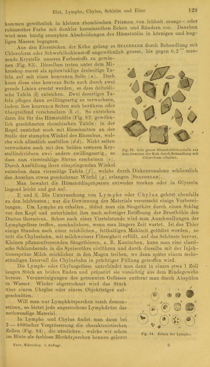 kommen gewöhnlich in kleinen rhombischen Prismen von lebhaft orange- oder rubinrother Farbe mit dunkler karminrothen Ecken und Rändern vor. Daneben wird man häufig amorphen Abscheidungen des Hämatoidin in körnigen und kug- ligen Massen begegnen. Aus den Eierstöcken der Kühe gelang es Staedeler durch Behandlung mit Chloroform oder Schwefelkohlenstoff ungewöhnlich grosse, bis gegen ü, 2 mes- sende Krystalle unseres Farbestofls zu gewin- nen (Fig. 83). Dieselben treten unter dem Mi- kroskop zuerst als spitzwinklige dreiseitige Ta- feln auf mit einer konvexen Seite (a). Doch kann diese eine konvexe Seite auch durch zwei gerade Linien ersetzt werden, so dass deltoi'di- sche Tafeln (b) entstehen. Zwei derartiger Ta- feln pflegen dann zwillingsartig zu verwachsen, indem ihre konvexen Seiten sich berühren oder übergreifend verschmelzen (b. c). So entstehen dann die für das Hämatoidin (Fig. 82) gewöhn- lich gezeichneten rhombischen Tafeln; in der Regel zunächst noch mit Einschnitten an der Stelle der stumpfen Winkel des Rhombus, wel- che sich allmälich ausfüllen (dcl). Nicht selten verwachsen auch mit den beiden ersteren Kry- stallindividuen zwei andere zwillingsartig, so dass nun vierstrahlige Sterne erscheinen (e). Durch Ausfüllung ihrer einspringenden Winkel entstehen dann vierseitige Tafeln (/), welche durch Dickenzunalime schliesslich das Ansehen etwas geschobener Würfel (y) erlangen (Staedeler). Man bewahrt die Hämato'idinpräparate entweder trocken oder in Glycerin liegend leicht und gut auf. 2) und 3) Die Untersuchung von Lymphe oder Chylus gehört ebenfalls zu den leichtesten ; nur die Gewinnung des Materials verursacht einige Vorberei- tungen. Um Lymphe zu erhalten, tödtet man ein Säugethier durch einen Schlag vor den Kopf und unterbindet ihm nach sofortiger Eröffnung der Brusthöhle den Ductus thoracicus. Schon nach einer Viertelstunde wird man Anschwellungen der Lymphgefässe treffen, ansehnlichere, wenn man längere Zeit wartet. Ist das Thier einige Stunden nach einer reichlichen, fetthaltigen Mahlzeit getödtet worden , so tritt die Chylusbahn, mit milchweisser Flüssigkeit erfüllt, auf das Schönste hervor. Kleinen pflanzenfressenden Säugethieren, z. B. Kaninchen, kann man eine elasti- sche Schlundsonde in die Speiseröhre einführen und durch dieselbe mit der Injek- tionsspritze Milch reichlicher in den Magen treiben, wo dann später einem mehr- stündigen Intervall die Chylusbahn in prächtiger Füllung getroffen wird. Die Lymph- oder Chylusgefässe unterbindet man dann in einem etwa 1 Zoll langen Stück an beiden Enden und präparirt sie vorsichtig aus dem Bindegewebe heraus. Verunreinigungen des getrennten Gefässes entfernt man durch Abspülen in Wasser. Wieder abgetrocknet wird das Stück über einem Uhrglas oder einem Objektträger auf- geschnitten. Will man nur Lymphkörperchen rasch demon- striren, so bietet jede angestochene Lymphdrüse das nothwendige Material. In Lymphe und Chylus findet man dann bei 2 — 400facher Vergrösserung die charakteristischen Zellen (Fig. 84) , die nämlichen , welche wir schon im Blute als farblose Blutkörperchen kennen gelernt Fisky, Mikroskop. Auflage. Fig. 84. Zellen der Lymphe. Fig. 83. Sehr grosse Häinato'idinkrystalle aus dem Ovarium der Kuh durch Behandlung mit Chloroform erhalten. 9