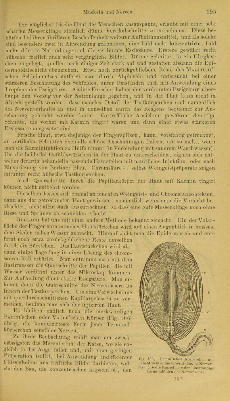 Die möglichst frische Haut des Menschen ausgespannt, erlaubt mit einer sehr scharfen Messerklinge ziemlich dünne Vertikalschnitte zu entnehmen. Diese be- bürf'en hei ihrer fibrillären Beschaffenheit -weiterer Aufhellungsmittel, und als solche sind besonders zwei in Anwendung gekommen, eine bald mehr konzentrirte, bald mehr diluirte Natronlauge und die verdünnte Essigsäure. Erstere gewährt recht hübsche, freilich auch sehr vergängliche Bilder. Dünne Schnitte, in ein Uhrgläs- chen eingelegt, quellen nach einiger Zeit stark auf und gestatten alsdann die Epi- dermoidalschicht abzuziehen. Etwa noch zurückgebliebene Reste des Malpighi’- schen Schleimnetzes entfernt man durch Abpinseln und untersucht bei einer stärkeren Beschattung des Sehfeldes, unter Umständen auch mit Anwendung eines Tropfens der Essigsäure. Andere Forscher haben der verdünnten Essigsäure über- haupt den Vorzug vor der Natronlauge gegeben , und in der That kann nicht in Abrede gestellt werden, dass manches Detail der Tastkörperchen und namentlich des Nervenverlaufes an und in denselben durch das Reagens bequemer zur An- schauung gebracht werden kann. Vortreffliche Ansichten gewähren derai-tige Schnitte, die vorher mit Karmin tingirt waren und dann einer etwas stärkeren Essigsäure ausgesetzt sind. Frische Haut, etwa diejenige der Fingerspitzen, kann, vorsichtig getrocknet, an vertikalen Schnitten ebenfalls schöne Anschauungen liefern, um so mehr, wenn man die Karmintinktion zu Hülfe nimmt (in Verbindung mit sauerem Waschwasser). Um die beiderlei Gefühlswärzchen in der Haut zu unterscheiden, eignen sich ent- weder derartig behandelte passende Hautstellcn mit natürlicher Injektion, oder nach Einspritzung von Berliner Blau. Chromsäure-, selbst Weingeistpräparate zeigen mitunter recht hübsche Tastkörperchen. Auch Querschnitte durch die Papillarkörper der Haut mit Karmin tingirt können nicht entbehrt werden. Dieselben lassen sich einmal an feuchten Weingeist- und Chromsäureobjekten, dann aus der getrockneten Haut gewinnen, namentlich wenn man die Vorsicht be- obachtet, nicht allzu stark auszutrocknen, so dass eine gute Messerklinge noch ohne Risse und Sprünge zu schneiden erlaubt. Gkrlaoii hat uns mit einer andern Methode bekannt gemacht. Ein der Volar- fläche der Finger entnommenes Hautstückchen wird auf einen Augenblick in heisses, dem Sieden nahes Wasser gebracht. Hierauf zieht man die Epidermis ab und ent- fernt noch etwa zurückgebliebene Reste derselben durch ein Bürstchen. Das Hautstückchen wird als- dann einige Tage lang in einer Lösung des chrom- sauren Kali erhärtet. Nun entnimmt man mit dem Rasirmesser die Querschnitte der Papillen, die mit Wasser verdünnt unter das Mikroskop kommen. Zur Aufhellung dient starke Essigsäure. Man er- kennt dann die Querschnitte der Nervenfasern im Innern der I astkörperchcn. Um eine Verwechslung mit querdurchschnittenen Kapillargefassen zu ver- meiden, bediene man sich der injizirten Haut. Es bleiben endlich noch die merkwürdigen PAcim’schen oder VATi:n’schen Körper (Fig. 166) übrig, die komplizirteste Form jener Terminal- körperchen sensibler Nerven. Zu ihrer Beobachtung wählt man am zweek- mässigsten das Mesenterium der Katze, wo sic so- gleich in das Auge fallen und, mit einer geringen Präparation isolirt, bei Anwendung indifferenter Flüssigkeiten uns treffliche Bilder darbieten, wel- che den Bau, die konzentrischen Kapseln (b), den 13* Fig. Hiß. Pacini’sches Körperchen aus dem Mesenterium einer Katze, a Nerven- faser ; h die Kapseln ; o der Idassrandige Terminalfaden der NervenrÄhre.