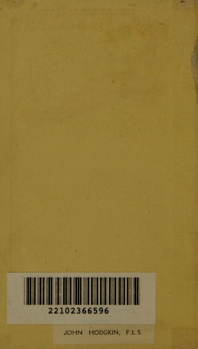 digitised image 2