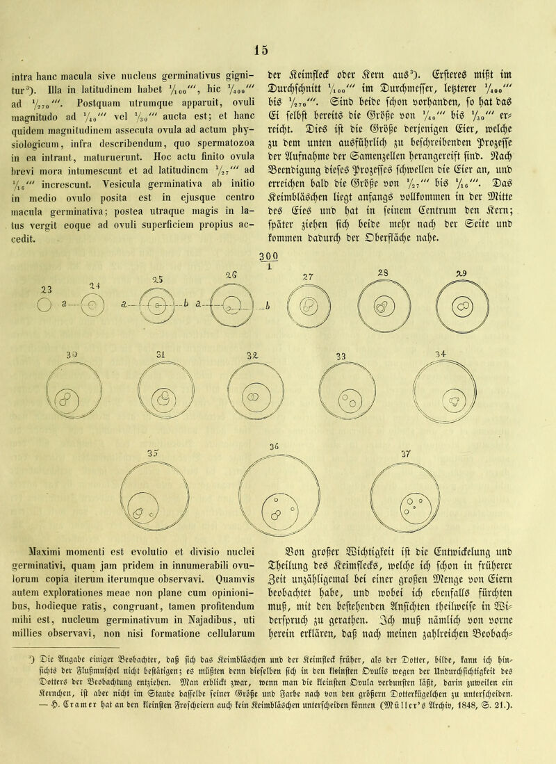 intra hanc macula sive nucleus germinativus gigni- tur“). Illa in latitudinem habet Vxoo', hic '/400' ad */270Postquam utrumque apparuit, ovuli magnitudo ad ’/jo' vel V30' aucta est; et hanc quidem magnitudinem assecuta ovula ad actum phy- siologicum, infra describendum, quo spermatozoa in ea intrant, maturuerunt. Hoc actu finito ovula brevi mora intumescunt et ad latitudinem '/27' ad increscunt. Vesicula germinativa ab initio in medio ovulo posita est in ejusque centro macula germinativa; postea utraque magis in la- tus vergit eoque ad ovuli superficiem propius ac- cedit. ber ^cimflecf ober ^evn auö“). drflereg mtft im 2)uvd)f4)mtt Vioo'' tnt 2)urc^meffer, lenterer ‘/400' hiö y27o'- ©itib bctbe fc()on por^anben, fo bag gt felbft berettg bte ©vbpe »on ’A»' btö txf retent. 2)te^ ift bie berjemgen ©ter, melc^c ju bem unten auöfüfirltc^ ju be[d;reibenben ^rojeffe ber 3tufnal)me ber ©amenjelten l^erangereift ftnb. SSeenbigung btefe^ ^rojeffe^ [c^tnellen bte ®er an, unb erreichen halb bte ®röfe non bi^ Yie'- 2)a^ .^eintblädi^en liegt anfangs noUfontnten in ber 50iitte beS SieS unb ^at in feinent Centrum ben ^ern; [pater jiei)en fici) beibe mt^)x nacf) ber ©eite unb fontmen baburif) ber Dberflac^e na^e. Maximi momenti est evolutio et divisio nuclei germinativi, quam jam pridem in innumerabili ovu- lorum copia iterum iterumque observavi. Quamvis autem explorationes meae non plane cum opinioni- bus, hodieque ratis, congruant, tamen profitendum mihi est, nucleum germinativum in Najadibus, uti millies observavi, non nisi formatione cellularum SSon grofer Stdittgfeit ift bte ©ntntidelung unb Slf)e{iung beS ÄeintflecfS, welche t^ fc^on tn frufterer 3ett unjai)ltgetnal bei einer großen SWenge oon Siern beobachtet unb tnobei ich ebenfalls fürchten ntuh, mit ben beftehenben 5lnftchten theilmeife in 2Bi? berfpru^ ju gerathen. 3^ muh nämlich bon oorne herein erflären, bah tt^ch meinen zahlreichen S3eobach= Q Die 3lngnbe eiuiger 3Scobad)tcr, ba§ fiel t>a^ Äeimblaöc^ett utib bev 5teintfIecE früher, alg ber Dotter, btlbe, fatm |itt= fid)tä ber gtufittuf^el nicfit beftätigen; eg mühten benn btefelben ftcfi tn ben fteinfien Dbultg toegen ber Unburchfiihtigfeit beg Dotterg ber SSecbac^tung entjieben. Tlan erblidt jtoor, Wenn man bte fleinften Döuta öerbunhen Iaht, bartn pwetlen ein Äerm|en, tft aber nici)t im ®tanbe baplbe feiner @rShe «ab garbe nac| bon ben grbhern Dotterfügclchen p unterfcheiben. — Srnmer bat an ben fieinften grofi^eiern auch fein Äeimblägcbcn unterfCfieiben fönnen (Wüncr’g Stridi», 1848, ®. 21.).