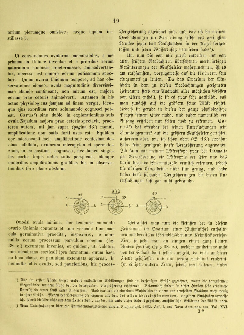 torium plerumque omisisse, neque aquam in- stillasse ')• Ut conversiones ovulorum memorabiles, a me primum in Unione inventae et a prioribus rerum naturalium studiosis praetermissae, animadvertan- tur, necesse est minora eorum potissimum spec- tare. Ouum ovaria Unionum tempore, ad has ob- servationes idoneo, ovula magnitudinis diversissi- mae abunde contineant, non mirum est, majora eorum prae ceteris animadverti. Attamen in his actus physiologicus jamjam ad finem vergit, ideo- que ejus exordium raro solummodo cognosci pot- est. Carus■) sine dubio in explorationibus suis ovula Najadum majora prae ceteris spectavit, prae- terea autem, uti jam supra (pagina 13.) monui, amplificatione non satis forti usus est. Equidem ope microscopii mei, amplificatione centesima de- cima adhibita, ovulorum micropylen et spermato- zoon, in ea positum, cognosco, nec tamen singu- las partes hujus actus satis perspicue, ideoque minoribus amplificationis gradibus his in observa- tionibus fere plane abstinui. SSergrbf erung gejetc^net ftnb, unb ba^ ic^ bei meinen ^Beobachtungen jur 33ermeibung felbft beg geringften Druefeg fogar ba^ Decfgläöchen in ber 9iegei fovtge# laffen unb jeben SSafferjttfa^ »ermieben habe'). Unt nun bie non mir juerft entbedten unb oon allen frühem Beobachtern überfehenen merfmürbigen Beränberungen ber Bhifcheleier mahrjunehmen, ift e^ am rathfamften, oorjugömeife auf bie fleinern fein Slugenmerf ju lenfen. 3)a bag Doarium ber 9)iu# fcheln in bem ju biefeu Beobachtungen geeigneten Beitraume ftetg eine Slu^maht aller möglichen ©rofen non ©iern enthält, fo ift eö jmar fehr natürlich, ba^ man junächft auf bie gröfern feine Blicfe richtet. 3eboch ift gerabe in biefen ber ganje 5)rojep feinem ©nbe nahe, unb baher namentlich ber Slnfang beffeiben nur feiten noch ju erfennen. ©a# rüg) hat offenbar bei feinen Unterfnehungen fein |)auptaugenmerf auf bie gröfern Biufdheleier gerichtet, auferbem aber, mie id; fchon oben (©. 13.) ermähnt habe, feine genügenb ftarfe Bergröherung angemanbt. 3ch fann mit meinem BJifroffope jmar bei llOmali^ ger Bergröherung bie Biifropple ber ©ier unb bag barin liegenbe ©permatojoib beutlich erfennen, feboch bie übrigen ßinjelheiten nicht flar genug, unb habe baher biefe fd;machen Bergröherungen bei biefen Un^ terfuchungen faft gar uid;t gebraud)t. Quodsi ovula minima, hoc temporis momento ovario Unionis contenta et tum vesicula tum ma- cula germinativa praedita, inspexeris, e non- nullis eorum processum parvulum coecum (fig. 38. c.) exeuntem invenies, et quidem, uti videtur, non membrana corticali ipsa formatum, quum haec eo loco clausa et paululum extenuata appareat. In nonnullis aliis ovulis, sed paucioribus, hic proces- Betrad)tet man nun ble flcmften ber in btefem Beltraumc im Doarlum einer gluhmufchel enthalte? neu unb bereitg mttÄelmblägchen unb 0?elmflecf oerfehe? Ster, fo fieht man an einigen einen ganj fleinen blinben gortfah Cgtg. 38. c.), melcher anfd;einenb nid)t oon ber ©chalenhaut felbft auggeht, ba btefe an biefer ©teile gefchloffen unb nur menig »erbünnt erfcheint. 3n einigen anbern Siern, feboch meit feltener, finbet ‘) SIHe tm evften Stjeite biefer entfcaltenen Stbbitbungen finb tit berjenigen (Srofe gejeidinet, ttorin bie bargefteßten ©egenftanbe meinem Singe bei ber betreffenben Slergrbferung erfcfiienen. SBetannilid; pnben in biefer ^inffcfit fe^r er^eblidce Unterfcljiebe unter fonft guten Siugen ftott. Siug) nariireu bie einjeinen 3)?ufdjeieier in einem unb bemfetben ©tabium nic|t wenig in ifirer ©rbfe. S5egen ber SSebeutung ber Figuren unb ber, bei allen übereinftimmenben, einjelnen 33ut|ftaben öerweife i(f), foweit biefelbe nic(;t aug bem Serte erl;eßt, auf bie, am £nbe biefer ©ü^rift gegebene, ougfüfirlic^e (£r!icirung ber Stbbilbungen. Steue Unterfu^ungen über bie ®ntwicfelungggefcf)ici;te unferer glufmufc|el, 1832, Saf. I. unb Nova Acta nat. cur. Vol. XVI. 3*