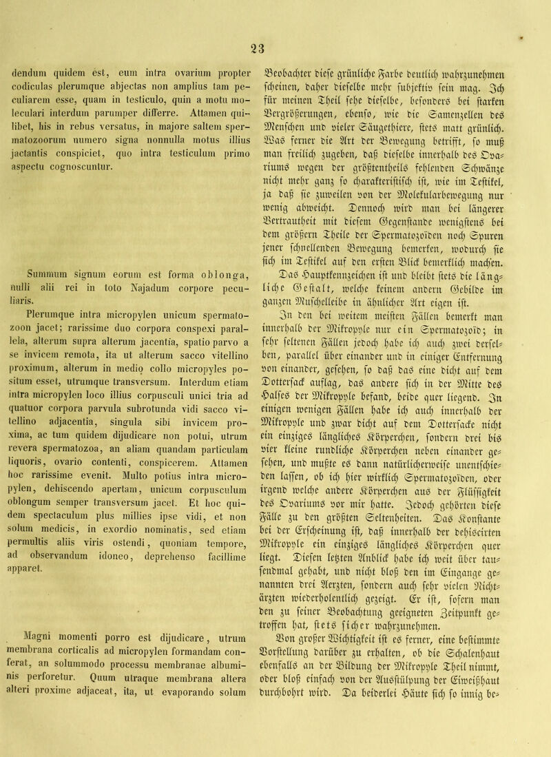 (lendum quidem est, eum intra ovarium propter codiculas plerumque abjectas non amplius tam pe- culiarem esse, quam in testiculo, quin a motu mo- leculari interdum parumper differre. Attamen (qui- libet, his in rebus versatus, in majore saltem sper- matozoorum numero signa nonnulla motus illius jactantis conspiciet, quo intra testiculum primo aspectu cognoscuntur. Summum signum eorum est forma oblonga, nulli alii rei in toto Najadum corpore pecu- liaris. Plerumque intra micropylen unicum spermato- zoon jacet; rarissime duo corpora conspexi paral- lela, alterum supra alterum jacentia, spatio parvo a se invicem remota, ita ut alterum sacco vitellino proximum, alterum in medio collo micropyles po- situm esset, utrumque transversum. Interdum etiam intra micropylen loco illius corpusculi unici tria ad quatuor corpora parvula subrotunda vidi sacco vi- tellino adjacentia, singula sibi invicem pro- xima, ac tum quidem dijudicare non potui, utrum revera spermatozoa, an aliam quandam particulam liquoris, ovario contenti, conspicerem. Attamen hoc rarissime evenit. Multo potius intra micro- pylen, dehiscendo apertam, unicum corpusculum oblongum semper transversum jacet. Et hoc qui- dem spectaculum plus millies ipse vidi, et non solum medicis, in exordio nominatis, sed etiam permultis aliis viris ostendi, quoniam tempore, ad observandum idoneo, deprehenso facillime apparet. Magni momenti porro est dijudicare, utrum membrana corticalis ad micropylen formandam con- ferat, an solummodo processu membranae albumi- nis perforetur. Quum utraque membrana altera alteri proxime adjaceat, ita, ut evaporando solum ^eohadqter btefe grimlid^e ^arbe beutltcl; h)a^rjunef)tnen fdqemen, b4er biefelBe ntc()r fubjeftw fetu mag. 3c^ für meinen Zi)tH fel)e btefelbe, befonberd M ftarfen SBergroperungen, ebenfo, nne bie 0amenjeEen be^ Slfenfc^en unb nieler ©auget^iere, ftet^ matt grünltti^. Söag ferner bie 5Irt ber S3emegung betrifft, fo muf man freiiie^ pgeben, baf biefetbe innerbaib beg ©sa? riumg wegen ber grbftentbeilg feblenben ©ci;mänje nici;t mebr ganj fo ebarafteriftifei; ift, wie im ^eftifel, ja ba^ fie juweiien »on ber Slfoiefuiarbemegung nur wenig abweiebt. ©ennoeb wirb man bet längerer Sertrautbeit mit biefem ©egenftanbe wenigften^ bet bem gröfern ber ©permatojo'iben noef; ©puren jener fcbnellenben Bewegung bemerfen, wobitri^ fie ftcb im Sleftifel auf ben erften 5ßlicf bemerflicb macb'en. 2)aP ■f)auptfennjeicben ift unb bleibt ftetS bie läng# liebe ©eftalt, welche feinem anbern ©ebilbe im ganzen Sltnfcbelleibe in äbnlidjer 3lrt eigen ift. 3n ben bei weitem meiften gälten bemerft man innerbaib ber Sltifropple nur ein ©permatojoib; in fel;r feltenen gälten jeboeb b^tbe id) and; jwei berfel# ben, parallel über einanber unb in einiger Entfernung öon einanber, gefeiten, fo bap baP eine bid;t auf bem 2)otterfad auflag, baö anbere fiel; in ber SOlitte beg |)alfeg ber SWifropple befanb, beibe quer liegenb. 3n einigen wenigen gällen bei^'c td> au^ innerbaib ber SWifropple unb jwar bie^t auf bem ©otterfaefe nid;t ein einjige^ länglicbeP Äbrpercben, fonbern brei bi^ hier fleine runblitbe j?brperd;en neben einanber ge# fepen, unb mupte e^ bann natürlicberweife unentfd;ie# ben laffen, ob iep bter wirflicp ©permato^oiben, ober trgenb welche anbere .^forperepen auP ber glüffigfeit beö ©oaritimg oor mir batte. 3ebocb gehörten biefe gälte ju ben gröpten ©eltenbeiten. 2)aö Jlonftante bei ber Erfebeinung ift, bap innerbaib ber bebi^cirten SDHfropple ein eingigeg länglid;e^ .fförpereben quer liegt. ®iefen lebten Slnblid habe ttb weit über tau# fenbmal gehabt, unb niebt blop ben tm Eingänge ge# nannten bret Slerjten, fonbern au(b fepr nieten 5tid;t# ärjten wieberbolentlid; gezeigt. Er ift, fofern man ben ju feiner S3eobad;tung geeigneten Seitpunft ge# troffen bat, ftet^ ficber wabrjunebmen. SSon groper SÖicbtigfeit ift eg ferner, eine beftimmte SSorftellung barüber ju erbalten, ob bie ©d;alenbaut ebenfaffg an ber Silbung ber Sltifropple 2:b«t nimmt, ober blop einfach non ber 5lugftülpung ber Eiweippaut burdqbobrt wirb. 2)a beiberiet •C>äute fid; fo innig be#