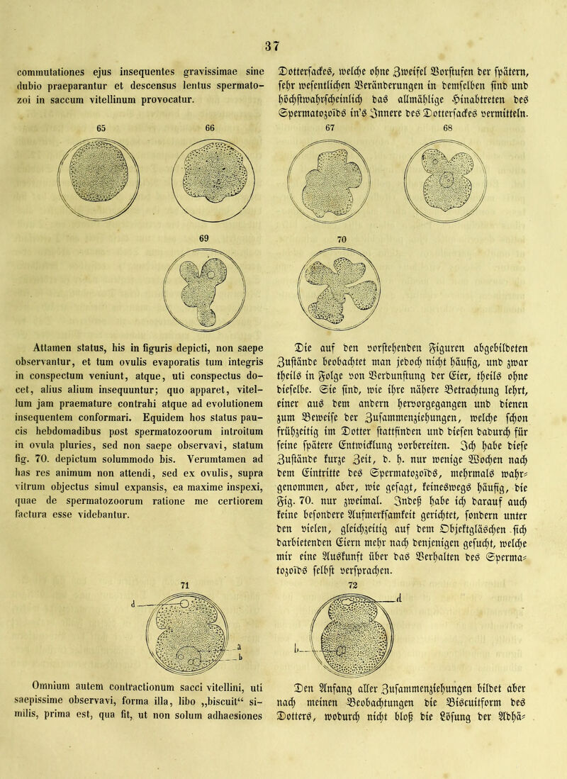commutationes ejus insequentes gravissimae sine dubio praeparantur et descensus lentus spermato- zoi in saccum vitellinum provocatur. 65 66 Attamen status, his in figuris depicti, non saepe observantur, et tum ovulis evaporatis tum integris in conspectum veniunt, atque, uti conspectus do- cet, alius alium insequuntur; quo apparet, vitel- lum jam praemature contrahi atque ad evolutionem insequentem conformari. Equidem hos status pau- cis hebdomadibus post spermatozoorum introitum in ovula pluries, sed non saepe observavi, statum fig. 70. depictum solummodo bis. Verumtamen ad has res animum non attendi, sed ex ovulis, supra vitrum objectus simul expansis, ea maxime inspexi, quae de spermatozoorum ratione me certiorem factura esse videbantur. Omnium autem contractionum sacci vitellini, uti saepissime observavi, forma illa, libo „biscuit“ si- milis, prima est, qua fit, ut non solum adhaesiones 2)otterfacfeg, melice o^ne SBovftufen ber fpatern, fe^r mefentUc^en SSeränberungen in bemfelben ftnb unb |)öc^fttt)4rfc^e{nltc^ ba§ aümäbltge §{nabtreten beö 0permatojoibö innere be^ ©otterfadeö »ermitteln. 67 68 Die auf ben »orfte^enben abgebilbeten 3uftänbe beobachtet man jeboch nid;t häufig, unb jmar theilg in golge »on SSerbunftung ber gier, theilö ohne biefelbe. @ie ftnb, mie ihre nähere SSetradhtung lehrt, einer aug bem anbern he^^^^orgegangen unb bienen jum S3emeife ber 3nfammenjiehungen, melche fdhon frühzeitig im Dotter ftattfinben unb biefen baburih für feine fpätere ßntmicftung »orbereiten. 3ch biefe 3uftanbe furje 3eit, b. h- nur menige SBochen nach bem Eintritte beö ©permatojoibg, mehrmaid mahr? genommen, aber, mie gefagt, feine^megd häufig, bie gig. 70. nur jmeimai. 3nbep habe ich barauf audh feine befonbere Stufmerffamfeit gerichtet, fonbern unter ben »ieten, gleichzeitig auf bem Dbjeftglägchen ftch barbietenben ßiern mehr nach benjenigen gefucht, melche mir eine 5ludfunft über bag S5erhalten bed ©perma^ tozoibd felbft »erfprachen. 73 Den Slnfang aller 3ufammenziehungen bilbet aber nach meinen ^Beobachtungen bie SSidcuitform beg Dotterd, moburch nicht bloh bie Söfung ber 5lbhä=