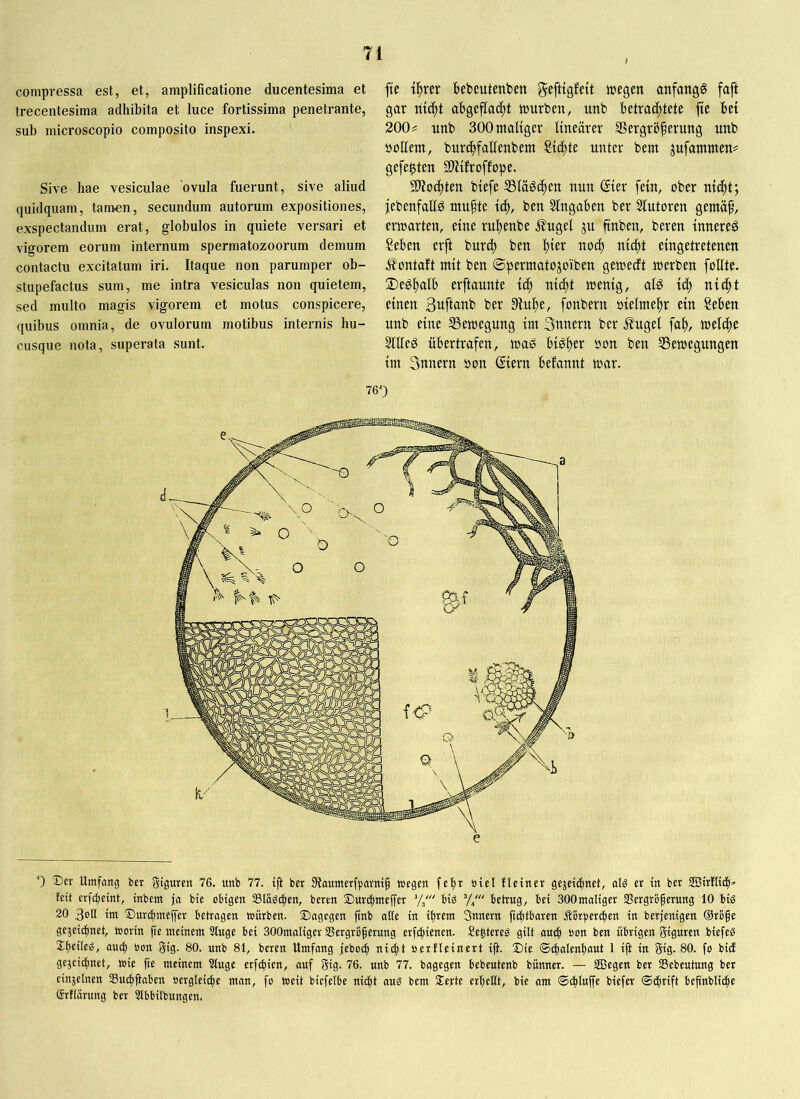 compressa est, et, amplificatione ducentesima et trecentesima adhibita et luce fortissima penetrante, sub microscopio composito inspexi. Sive hae vesiculae ovula fuerunt, sive aliud quidquam, tarnten, secundum autorum expositiones, exspectandum erat, globulos in quiete versari et vigorem eorum internum spermatozoorum demum contactu excitatum iri. Itaque non parumper ob- stupefactus sum, me intra vesiculas non quietem, sed multo magis vigorem et motus conspicere, quibus omnia, de ovulorum motibus internis hu- cusque nota, superata sunt. fte t^rer bebeutenben gefttgfett wegen anfangs faft gar ntc^t abgeflad;! würben, nnb betrachtete fte bet 200^ unb SOOntaltger linearer S3ergrbferung nnb »ollem, burchfallenbem Sichte unter bem jufammen^ gefegten SD^ifroffope. 9)?od)ten biefe SSlagc^ten nun ©er fein, ober nicht; jebenfalld mufte ich, ben Slngaben ber Slutoren gemäf', erwarten, eine ruhenbe ^ugel ju ftnben, beren innere^ Seben erft burd) ben \)\tx noch nicht eingetretenen ^ontaft mit ben ©permatojoiiben geweift werben follte. Deshalb erftaunte ich wenig, alö ic^h nicht einen 3uftanb ber 9luhe, fonbern »ielmehr ein Seben unb eine ^Bewegung im 3nnern ber J?ugel fah, weldhe SlUed übertrafen, wag bighev »on ben 53ewegungen im Snnern oon ©ern befannt war. 760 0 Ser Umfang ber giguren 76. unb 77. tfl ber 9taumerfpavm§ megeu fetir ötel fletner gejeic^net, alg er in ber ÜBirfltCp» feit erfc^eint, tnbem ja bie obigen Stabilen, beren Surc^meffer V,' bib y/ betrug, bei SOOmaltger SBergrbgerung 10 biö 20 3etl im Surtfnnejfer betragen mürben. Sagegen ftnb aKe in ihrem Snnern fichtbaren Äbrperihen in berjenigen @rbfe gezeichnet, morin fie meinem Stuge bei SOOmaliger SSergroferung erfchienen. Se^tereg gilt au(|) oon ben übrigen giguren biefe« Sheile«, ouch oon Sig. 80. unb 81, beren Umfang jeboch ni^t oerfleinert iji. S)ie ©chalenhaut 1 ift in gig. 80. fo bicf gezeichnet, toie fie meinem Singe erfi^ien, auf gig. 76. unb 77. bagegen bebeutenb bünner. — SBegen ber Sebeutung ber einzelnen Suchjiaben oergleiche mon, fo toeit biefelbe nicht au« bem Seyte erheHt, bie om ©chluffe biefer ©i^rift befinbliche (Srtlarung ber Slbbilbungen.