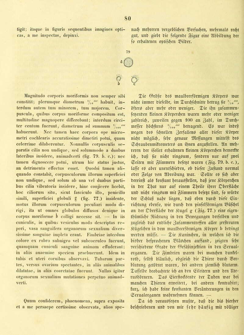 tig-it; itaque in figuris sequentibus imagines opti- cas, a me inspectas, depinxi. 79 b Magnitudo corporis moriformis non semper sibi constitit; plerumque diametrum ‘/50' habuit, in- terdum autem tum minorem, tum majorem. Cor- puscula, quibus corpus moriforme compositum est, multitudine magnopere differebant; interdum circi- ter centum fuerunt, diametrum ad summum habuerunt. Nec tamen haec corpora ope micro- metri cochlearis accuratissime dimetiri potui, quum celerrime dilaberentur. Nonnullis corpusculis se- paratis cilia non undique, sed solummodo a duobus lateribus insidere, animadverti (fig. 79. b. c.); nec tamen dignoscere potui, utrum hic status justus, an detrimento effectus esset. Onodsi tamen ali- quando constabit, corpusculorum illorum superficiei non undique, sed solum ab una vel duabus parti- bus cilia vibratoria insidere, hinc conjicere licebit, hoc ciliorum situ, sicut fasciculo illo, penicillo simili, superficiei globuli g (fig. 77.) insidente, motus illorum corpusculorum peculiari modo di- rigi, ita ut omnes globulos diffusos denique in corpus moriforme 1) colligi necesse sit. — In iis cuniculis, in quibus vesiculas modo descriptas re- peri, vasa sanguifera organorum sexualium diver- sissime sanguine impleta erant. Fimbriae interdum colore ex rubro subnigro vel subcoeruleo fuerunt, quamquam cuniculi sanguine animam effuderant; in aliis anaemiae speciem praebuerunt. Idem in tubis et uteri cornibus observavi. Tubarum par- tes, versus ovarium spectantes, in aliis animalibus dilatatae, in aliis coarctatae fuerunt. Nullas igitur organorum sexualium mutationes perpetuo animad- verti. Quum confiderem, phaenomena, supra exposita et a me persaepe certissime observata, alios spe- na^ meftreren »ergebfti^en S5erfuc^en, nieftrmafg re(|t gut, unb gtebt bte fofgenbe gigur etnc 5fBbtfbung ber fo erftaftenen opti[d;m 33tfbev. Die ®vi3fe bc6 ntaulbccrformtgen luar ntd)t immer btefcfbe, im Durc^fdtmtte betrug fte '/30', öfterö aber mel)r ober meutger. 2)te t^n jufammen? fe^euben fleiueu ili3rperd)en mareu mef)r ober memger jaf)Iretd;, jumetfen gegen 100 au ttn S)urd)? meffer f)öd;ftenö %oo' betrageub. Q6 toar inbe^ megen beö [d;nelfen 3crfadenö affer bfefer Körper nid)t mbgffi^, fel)r genaue Sfteffungen mitteift be^ ©d;raubenmifrometerg an iftnen an^uftelfen. 5fn me'^« reren ber ifolirt erf;aftenen ffetnen .^brperc^en bemerftc id), bap fte nid)t rtngdum, fonbern nur auf jmei 0eiten mit glimmern befe^t waren Cgig. 79. b. c.), faffe ed aber unentfd;ieben, ob biefer 3uffflt^b normal ober gofge oon Sfbreibung war. Sollte ee ftd) aber bereinft ald fonftant fterauöftelfen, baf jene ^brperdten in ber 2:j)at nur auf einem Xftetfe iftrer Dberpc^e unb nid;t ringsum mit glimmern befe^t finb, fo würbe ber 0d;fuf nal)e liegen, bap eben burd; biefe Qm rid)tung ebenfo, wie burd) ben pinfelförmigen 33üfd;et an ber Cberflädte ber ftugel g (gig. 77.) eine eigene tpümlid;e 9Ud;tung in ben ^Bewegungen berfelben unb ;^ugleid) bad enblicpe 3uüintmentreffen aller jerftreuten .5?'ügeld;en in bem maulbeerförmigen florper b bebingt werben müffe. — 3)ie Äanint^en, in welchen id; bie biefter befprod;enen S3Iägd;en auffanb, zeigten feftr oerfd;iebene ©rabe ber ©efäpinjeftion in ben ©erual^ Organen. 2)ie gimbrien waren bei mandjen bunfel# rotf), felbft bUiuiid;, obgleid; bie $n;iere burd; 35er? blutung getöbtet waren, bei anbern jiemlid) blutarm. 2)affelbe beobad;tete td; an ben Eileitern unb ben Ute? rugpörnern. ©ad ßierftoefdenbe ber Stuben war bei mandten St^pieren erweitert, bei anbern fontrapirt; furj, id) pabe feine fonftanten SSeränberungen in ben ©erualorganen waprnepmen fönnen. — 2)a id) oorau^fe^en mupte, bap bie biö pierper befd;riebenen unb oon mir fepr päufig mit oöUiger