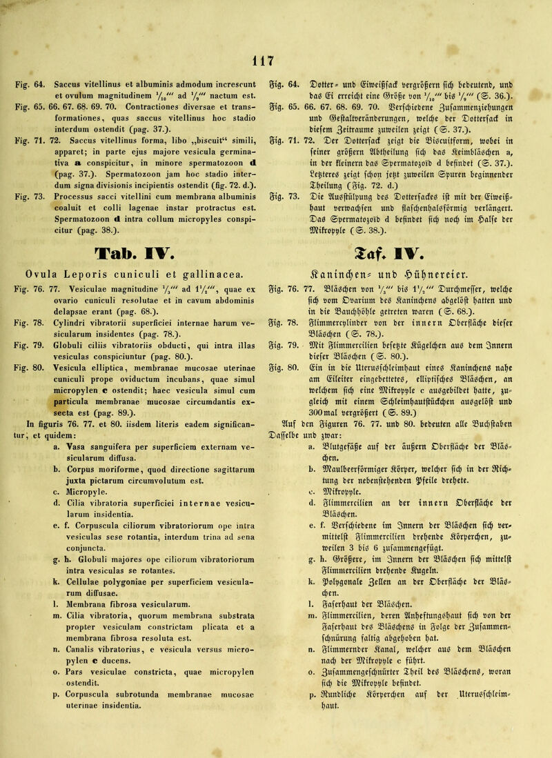 Fig. 64. Saccus vitellinus et albuminis admodum increscunt et ovulum magnitudinem ad '// nactum est. Fig. 65. 66. 67. 68. 69. 70. Contractiones diversae et trans- formationes, quas saccus vitellinus hoc stadio interdum ostendit (pag. 37.). Fig. 71. 72. Saccus vitellinus forma, libo „biscuit“ simili, apparet; in parte ejus majore vesicula germina- tiva a. conspicitur, in minore spermatozoon d. (pag. 37.). Spermatozoon jam hoc stadio inter- dum signa divisionis incipientis ostendit (6g. 72. d.). Fig. 73. Processus sacci vitellini cum membrana albuminis coaluit et colli lagenae instar protractus est. Spermatozoon d intra collum micropyles conspi- citur (pag. 38.). Tab. IV. gtg. 64. ©Otter* unb Sttoeiffacf oergrofern ftc^i bcbeutenb, unb baö @i crrctd^t eine @rBfe oon y,/ big ’// (@. 36.). 3tg. 65. 66. 67. 68. 69. 70. SScrfcbtcbcnc unb ©eflaltöeränbcrungcn, toelc^ie ber ©otterfact tn btcfem Bcibraumc jutoetlcn jeigt (®. 37.). Stg. 71. 72. ©et ©ottcrffld jcigt bie SSigcuitform, wobei tn feiner grofern Slbtfjeilung fid; bag Seintblagd^t» in ber fleinern bnb ©permatojoib d befinbet (®. 37.). Se^tereg jeigt ftfion jc^t jutoeilen ©puren beginnenber ©tjeilung (gig. 72. d.) gig. 73. ©ie Slubftülpung beg ©otterfadeä ifi mit ber @iweif* f)out oerwacpfen unb ftafd)en^albformig oerlangert. ©ad ©permatojoib d befinbet ft^ noc^ im -^salfe ber SWifroppie (©.38.). S«f. IV. Ovula Leporis cuniculi et gallinacea. Fig. 76. 77. Vesiculae magnitudine ’/j' ad 1’4', quae ex ovario cuniculi resolutae et in cavum abdominis delapsae erant (pag. 68.). Fig. 78. Cylindri vibratorii superficiei internae harum ve- sicularum insidentes (pag. 78.). Fig. 79. Globuli ciliis vibratoriis obducti, qui intra illas vesiculas conspiciuntur (pag. 80.). Fig. 80. Vesicula elliptica, membranae mucosae uterinae cuniculi prope oviductum incubans, quae simul micropylen c ostendit; haec vesicula simul cum particula membranae mucosae circumdantis ex- secta est (pag. 89.). In figuris 76. 77. et 80. iisdem literis eadem significan- tur; et quidem: a. Vasa sanguifera per superficiem externam ve- sicularum diifusa. b. Corpus moriforme, quod directione sagittarum juxta pictarum circumvolutum est. c. Micropyle. d. Cilia vibratoria superficiei internae vesicu- larum insidentia. e. f. Corpuscula cillorum vibratoriorum ope intra vesiculas sese rotantia, interdum trina ad sena conjuncta. g. h. Globuli majores ope ciliorum vibratoriorum intra vesiculas se rotantes. k. Cellulae polygoniae per superficiem vesicula- rum diffusae. l. Membrana fibrosa vesicularum. m. Cilia vibratoria, quorum membrana substrata propter vesiculam constrictam plicata et a membrana fibrosa resoluta est. n. Canalis vibratorius, e vesicula versus micro- pylen c ducens. o. Pars vesiculae constricta, quae micropylen ostendit. p. Corpuscula subrotunda membranae mucosae uterinae insidentia. ^an{n(|en= unb ■C>ü^nereter. gig. 76. 77. SladtJ^cn öon Vj' bid 1’/,' ©urc^mcpr, Weld^ie ftc| »om Döartum bed Äamm|end obgcIBfl fiatten unb tn bte aSauc^f)ol)le getreten waren (©. 68.). gtg. 78. gltmmerc^Itnber »on ber tnnern ©berfloc^e btefer Sladd^en (©. 78.). gig. 79. • aSit glimmercilien befegte Äugelc^en aud bem Snnern btefer Slädcjien (©. 80.). gtg. 80. ®tn tn bte Uterudf(f)Ietmf)aut etned Sanint^end na^e am (Sileiter eingebetteted, eDiptifc^ed SSIadcpen, an Welchem fitf) eine ^Olifrop^le c nudgebilbet Ifatte, ju* gleiii^ mit einem ©tf)teim{)autftüd(|en audgeloft unb 300 mal »ergröfert (©. 89.) 3luf ben giguren 76. 77. unb 80. bebeuten alie S3ud)(iaben ©nffelbe unb jWar: a. aSlutgefiife auf ber itufern Dberflit^e ber Slad* (|en. b. IWaulbeerformtger ^Brper, welker ficfi in ber 0fi^* tung ber nebenftefienben ?)feile bre^ete. c. SDJifropide. d. glimmercilien an ber tnnern Dberpc^e ber 33l(td(|en. e. f. aSerf(i)iebette tm Snnern ber Slitd(|en ficfi ber* mittelft glimmercilien brefienbe Äörper^en, p* weilen 3 bid 6 jufammengefitgt. g. h. ©rofere, tm Snnem ber Sladc^en (ttf» mittelfl glimmercilien bre^enbe Äugeln. k. 55olbgonale fc« ©berflitcpe ber IBlad* t^en. l. gaferfiaut ber 3Slitdtl;en. m. glimmercilien, beren 5lnl)eftungdl)aut ftt| bon ber gaferl)aut bed SSlad^end in golge ber Bufamwen* fc^niirung faltig abgefioben fiat. n. glimmernber Äanal, weltfier and bem 33lod(|en nac^ ber SWifropble c fitljrt. o. 3wf«wmengefc^nurter Sllieil bed S3litd(|end, woran fi(f) bie 3Wifropble befinbet. p. 3?unblicf)e Äbrpert^en auf ber Uterudfcfleim* l)nut.