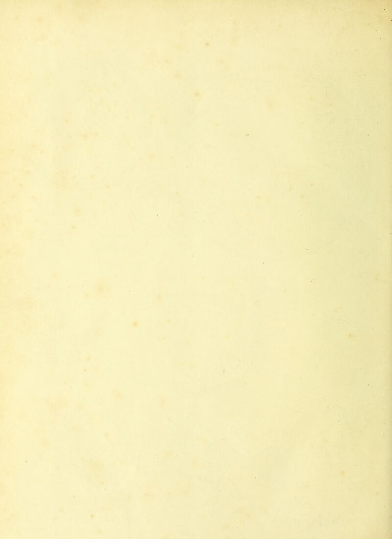 ' -W^' .sä M w- > K.-rzW- r-^- £ i’ aäi^ » ' ‘ •.•.