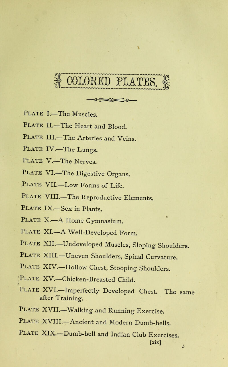 J Plate I.—The Muscles. Plate II.—The Heart and Blood. Plate III.—The Arteries and Veins. Plate IV.—The Lungs. Plate V.—The Nerves. Plate VI.—The Digestive Organs. Plate VII.—Low Forms of Life. Plate VIII.—The Reproductive Elements. Plate IX.—Sex in Plants. Plate X.—A Home Gymnasium. Plate XI.—A Well-Developed Form. Plate XII.—Undeveloped Muscles, Sloping Shoulders. Plate XIII.—Uneven Shoulders, Spinal Curvature. Plate XIV.—Hollow Chest, Stooping Shoulders. i Plate XV.—Chicken-Breasted Child. Plate XVI.—Imperfectly Developed Chest. The same after Training. Plate XVII.—Walking and Running Exercise. PLATE XVIII.—Ancient and Modern Dumb-bells. Plate XIX, Dumb-bell and Indian Club Exercises. [xix] b