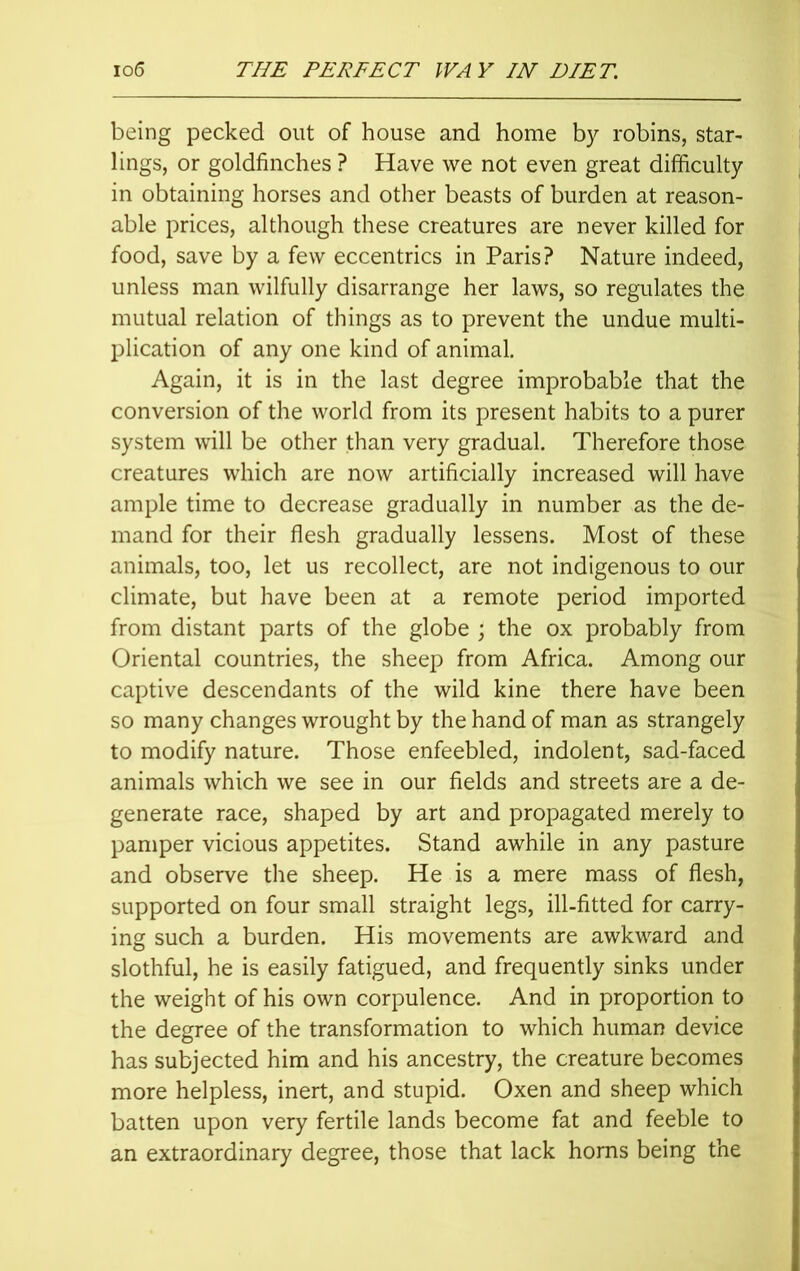 being pecked out of house and home by robins, star- lings, or goldfinches ? Have we not even great difficulty in obtaining horses and other beasts of burden at reason- able prices, although these creatures are never killed for food, save by a few eccentrics in Paris? Nature indeed, unless man wilfully disarrange her laws, so regulates the mutual relation of things as to prevent the undue multi- plication of any one kind of animal. Again, it is in the last degree improbable that the conversion of the world from its present habits to a purer system will be other than very gradual. Therefore those creatures which are now artificially increased will have ample time to decrease gradually in number as the de- mand for their flesh gradually lessens. Most of these animals, too, let us recollect, are not indigenous to our climate, but have been at a remote period imported from distant parts of the globe ; the ox probably from Oriental countries, the sheep from Africa. Among our captive descendants of the wild kine there have been so many changes wrought by the hand of man as strangely to modify nature. Those enfeebled, indolent, sad-faced animals which we see in our fields and streets are a de- generate race, shaped by art and propagated merely to pamper vicious appetites. Stand awhile in any pasture and observe the sheep. He is a mere mass of flesh, supported on four small straight legs, ill-fitted for carry- ing such a burden. His movements are awkward and slothful, he is easily fatigued, and frequently sinks under the weight of his own corpulence. And in proportion to the degree of the transformation to which human device has subjected him and his ancestry, the creature becomes more helpless, inert, and stupid. Oxen and sheep which batten upon very fertile lands become fat and feeble to an extraordinary degree, those that lack horns being the