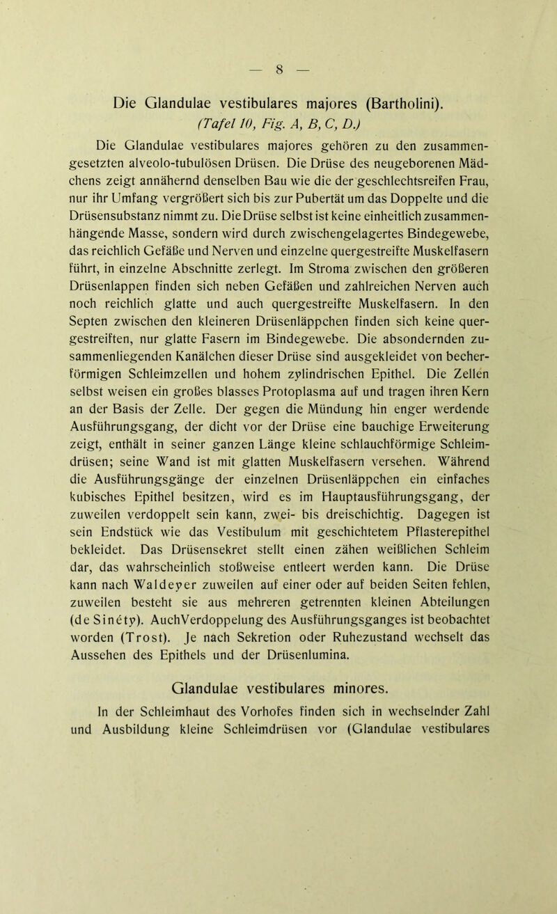 Die Glandulae vestibuläres majores (Bartholini). (Tafel 10, Fig. A, B, C, D.) Die Glandulae vestibuläres majores gehören zu den zusammen- gesetzten alveolo-tubulösen Drüsen. Die Drüse des neugeborenen Mäd- chens zeigt annähernd denselben Bau wie die der geschlechtsreifen Frau, nur ihr Umfang vergrößert sich bis zur Pubertät um das Doppelte und die Drüsensubstanz nimmt zu. Die Drüse selbst ist keine einheitlich zusammen- hängende Masse, sondern wird durch zwischengelagertes Bindegewebe, das reichlich Gefäße und Nerven und einzelne quergestreifte Muskelfasern führt, in einzelne Abschnitte zerlegt. Im Stroma zwischen den größeren Drüsenlappen finden sich neben Gefäßen und zahlreichen Nerven auch noch reichlich glatte und auch quergestreifte Muskelfasern, ln den Septen zwischen den kleineren Drüsenläppchen finden sich keine quer- gestreiften, nur glatte Fasern im Bindegewebe. Die absondernden zu- sammenliegenden Kanälchen dieser Drüse sind ausgekleidet von becher- förmigen Schleimzellen und hohem zylindrischen Epithel. Die Zellen selbst weisen ein großes blasses Protoplasma auf und tragen ihren Kern an der Basis der Zelle. Der gegen die Mündung hin enger werdende Ausführungsgang, der dicht vor der Drüse eine bauchige Erweiterung zeigt, enthält in seiner ganzen Länge kleine schlauchförmige Schleim- drüsen; seine Wand ist mit glatten Muskelfasern versehen. Während die Ausführungsgänge der einzelnen Drüsenläppchen ein einfaches kubisches Epithel besitzen, wird es im Hauptausführungsgang, der zuweilen verdoppelt sein kann, zwei- bis dreischichtig. Dagegen ist sein Endstück wie das Vestibulum mit geschichtetem Pflasterepithel bekleidet. Das Drüsensekret stellt einen zähen weißlichen Schleim dar, das wahrscheinlich stoßweise entleert werden kann. Die Drüse kann nach Waldeyer zuweilen auf einer oder auf beiden Seiten fehlen, zuweilen besteht sie aus mehreren getrennten kleinen Abteilungen (de Sinety). AuchVerdoppelung des Ausführungsganges ist beobachtet worden (Trost). Je nach Sekretion oder Ruhezustand wechselt das Aussehen des Epithels und der Drüsenlumina. Glandulae vestibuläres minores. ln der Schleimhaut des Vorhofes finden sich in wechselnder Zahl und Ausbildung kleine Schleimdrüsen vor (Glandulae vestibuläres