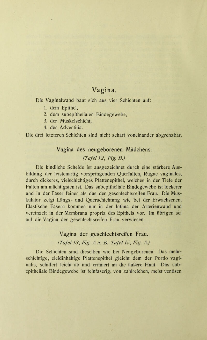 Vagina. Die Vaginalwand baut sich aus vier Schichten auf: 1. dem Epithel, 2. dem subepithelialen Bindegewebe, 3. der Muskelschicht, 4. der Adventitia. Die drei letzteren Schichten sind nicht scharf voneinander abgrenzbar. Vagina des neugeborenen Mädchens. (Tafel 12, Fig. B.) Die kindliche Scheide ist ausgezeichnet durch eine stärkere Aus- bildung der leistenartig vorspringenden Querfalten, Rugae vaginales, durch dickeres, vielschichtiges Plattenepithel, welches in der Tiefe der Falten am mächtigsten ist. Das subepitheliale Bindegewebe ist lockerer und in der Faser feiner als das der geschlechtsreifen Frau. Die Mus- kulatur zeigt Längs- und Querschichtung wie bei der Erwachsenen. Elastische Fasern kommen nur in der Intima der Arterienwand und vereinzelt in der Membrana propria des Epithels vor. Im übrigen sei auf die Vagina der geschlechtsreifen Frau verwiesen. Vagina der geschlechtsreifen Frau. (Tafel 13, Fig. A u. B. Tafel 15, Fig. A.) Die Schichten sind dieselben wie bei Neugeborenen. Das mehr- schichtige, eleidinhaltige Plattenepithel gleicht dem der Portio vagi- nalis, schilfert leicht ab und erinnert an die äußere Haut. Das sub- epitheliale Bindegewebe ist feinfaserig, von zahlreichen, meist venösen