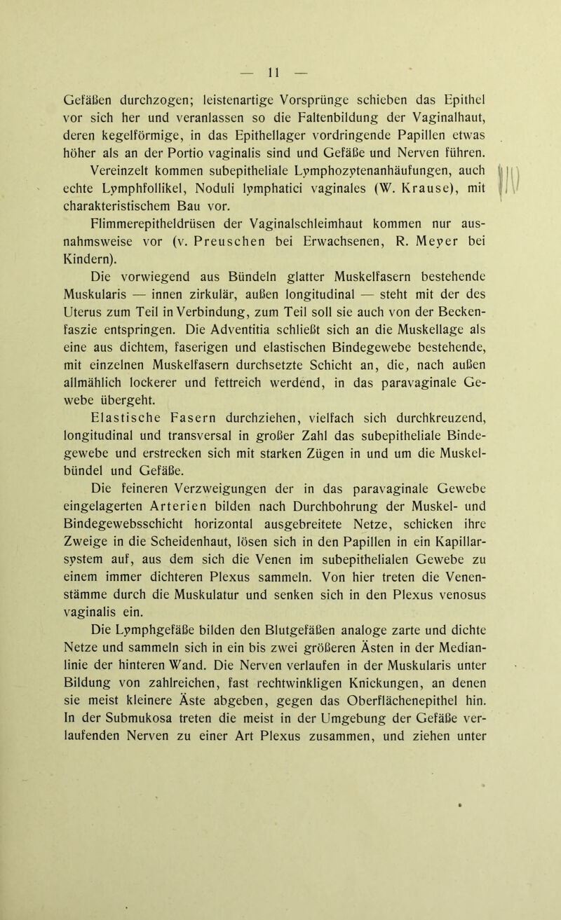 Gefäßen durchzogen; leistenartige Vorsprünge schieben das Epithel vor sich her und veranlassen so die Faltenbildung der Vaginalhaut, deren kegelförmige, in das Epithellager vordringende Papillen etwas höher als an der Portio vaginalis sind und Gefäße und Nerven führen. Vereinzelt kommen subepitheliale Lymphozytenanhäufungen, auch echte Lymphfollikel, Noduli lymphatici vaginales (W. Krause), mit charakteristischem Bau vor. Flimmerepitheldrüsen der Vaginalschleimhaut kommen nur aus- nahmsweise vor (v. Preuschen bei Erwachsenen, R. Meyer bei Kindern). Die vorwiegend aus Bündeln glatter Muskelfasern bestehende Muskularis — innen zirkulär, außen longitudinal — steht mit der des Uterus zum Teil in Verbindung, zum Teil soll sie auch von der Becken- faszie entspringen. Die Adventitia schließt sich an die Muskellage als eine aus dichtem, faserigen und elastischen Bindegewebe bestehende, mit einzelnen Muskelfasern durchsetzte Schicht an, die, nach außen allmählich lockerer und fettreich werdend, in das paravaginale Ge- webe übergeht. Elastische Fasern durchziehen, vielfach sich durchkreuzend, longitudinal und transversal in großer Zahl das subepitheliale Binde- gewebe und erstrecken sich mit starken Zügen in und um die Muskel- bündel und Gefäße. Die feineren Verzweigungen der in das paravaginale Gewebe eingelagerten Arterien bilden nach Durchbohrung der Muskel- und Bindegewebsschicht horizontal ausgebreitete Netze, schicken ihre Zweige in die Scheidenhaut, lösen sich in den Papillen in ein Kapillar- system auf, aus dem sich die Venen im subepithelialen Gewebe zu einem immer dichteren Plexus sammeln. Von hier treten die Venen- stämme durch die Muskulatur und senken sich in den Plexus venosus vaginalis ein. Die Lymphgefäße bilden den Blutgefäßen analoge zarte und dichte Netze und sammeln sich in ein bis zwei größeren Ästen in der Median- linie der hinteren Wand. Die Nerven verlaufen in der Muskularis unter Bildung von zahlreichen, fast rechtwinkligen Knickungen, an denen sie meist kleinere Äste abgeben, gegen das Oberflächenepithel hin. In der Submukosa treten die meist in der Umgebung der Gefäße ver- laufenden Nerven zu einer Art Plexus zusammen, und ziehen unter