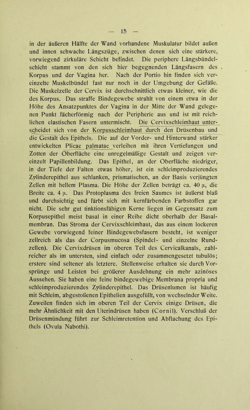 in der äußeren Hälfte der Wand vorhandene Muskulatur bildet außen und innen schwache Längszüge, zwischen denen sich eine stärkere, vorwiegend zirkuläre Schicht befindet. Die periphere Längsbündel- schicht stammt von den sich hier begegnenden Längsfasern des Korpus und der Vagina her. Nach der Portio hin finden sich ver- einzelte Muskelbündel fast nur noch in der Umgebung der Gefäße. Die Muskelzelle der Cervix ist durchschnittlich etwas kleiner, wie die des Korpus. Das straffe Bindegewebe strahlt von einem etwa in der Höhe des Ansatzpunktes der Vagina in der Mitte der Wand gelege- nen Punkt fächerförmig nach der Peripherie aus und ist mit reich- lichen elastischen Fasern untermischt. Die Cervixschleimhaut unter- scheidet sich von der Korpusschleimhaut durch den Drüsenbau und die Gestalt des Epithels. Die auf der Vorder- und Hinterwand stärker entwickelten Plieae palmatae verleihen mit ihren Vertiefungen und Zotten der Oberfläche eine unregelmäßige Gestalt und zeigen ver- einzelt Papillenbildung. Das Epithel, an der Oberfläche niedriger, in der Tiefe der Falten etwas höher, ist ein schleimproduzierendes Zplinderepithel aus schlanken, prismatischen, an der Basis verjüngten Zellen mit hellem Plasma. Die Höhe der Zellen beträgt ca. 40 [x, die Breite ca. 4 jj.. Das Protoplasma des freien Saumes ist äußerst blaß und durchsichtig und färbt sich mit kernfärbenden Farbstoffen gar nicht. Die sehr gut tinktionsfähigen Kerne liegen im Gegensatz zum Korpusepithel meist basal in einer Reihe dicht oberhalb der Basal- membran. Das Stroma der Cervixschleimhaut, das aus einem lockeren Gewebe vorwiegend feiner Bindegewebsfasern besteht, ist weniger zellreich als das der Corpusmucosa (Spindel- und einzelne Rund- zellen). Die Cervixdrüsen im oberen Teil des Cervicalkanals, zahl- reicher als im untersten, sind einfach oder zusammengesetzt tubulös; erstere sind seltener als letztere. Stellenweise erhalten sie durch Vor- sprünge und Leisten bei größerer Ausdehnung ein mehr azinöses Aussehen. Sie haben eine feine bindegewebige Membrana propria und schleimproduzierendes Zplinderepithel. Das Drüsenlumen ist häufig mit Schleim, abgestoßenen Epithelien ausgefüllt, von wechselnder Weite. Zuweilen finden sich im oberen Teil der Cervix einige Drüsen, die mehr Ähnlichkeit mit den Uterindrüsen haben (Cornil). Verschluß der Drüsenmündung führt zur Schleimretention und Abflachung des Epi- thels (Ovula Nabothi).