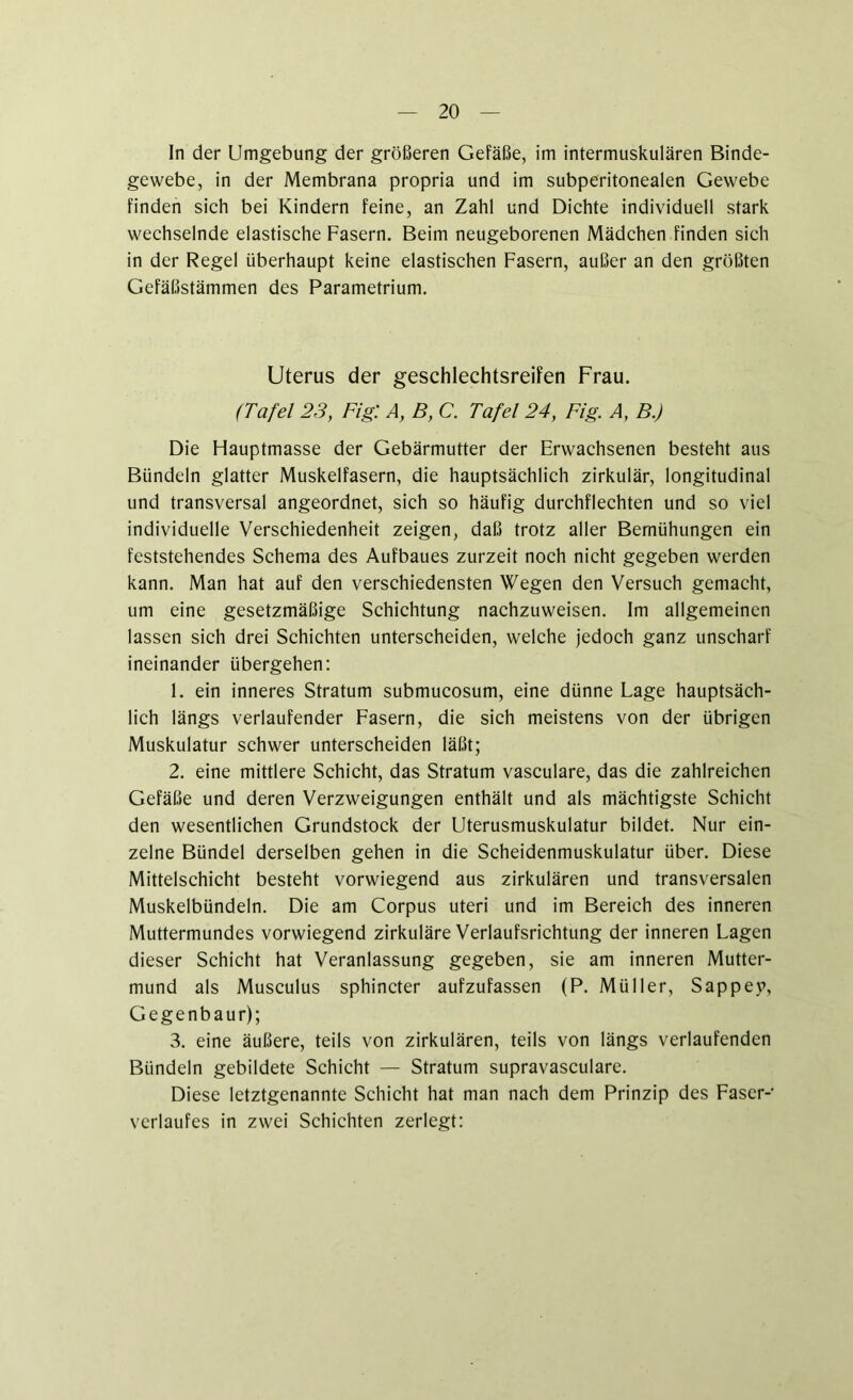 ln der Umgebung der größeren Gefäße, im intermuskulären Binde- gewebe, in der Membrana propria und im subperitonealen Gewebe finden sich bei Kindern feine, an Zahl und Dichte individuell stark wechselnde elastische Fasern. Beim neugeborenen Mädchen finden sich in der Regel überhaupt keine elastischen Fasern, außer an den größten Gefäßstämmen des Parametrium. Uterus der geschlechtsreifen Frau. (Tafel 23, Fig: A, B, C. Tafel 24, Fig. A, B.) Die Hauptmasse der Gebärmutter der Erwachsenen besteht aus Bündeln glatter Muskelfasern, die hauptsächlich zirkulär, longitudinal und transversal angeordnet, sich so häufig durchflechten und so viel individuelle Verschiedenheit zeigen, daß trotz aller Bemühungen ein feststehendes Schema des Aufbaues zurzeit noch nicht gegeben werden kann. Man hat auf den verschiedensten Wegen den Versuch gemacht, um eine gesetzmäßige Schichtung nachzuweisen. Im allgemeinen lassen sich drei Schichten unterscheiden, welche jedoch ganz unscharf ineinander übergehen: 1. ein inneres Stratum submucosum, eine dünne Lage hauptsäch- lich längs verlaufender Fasern, die sich meistens von der übrigen Muskulatur schwer unterscheiden läßt; 2. eine mittlere Schicht, das Stratum vasculare, das die zahlreichen Gefäße und deren Verzweigungen enthält und als mächtigste Schicht den wesentlichen Grundstock der Uterusmuskulatur bildet. Nur ein- zelne Bündel derselben gehen in die Scheidenmuskulatur über. Diese Mittelschicht besteht vorwiegend aus zirkulären und transversalen Muskelbündeln. Die am Corpus uteri und im Bereich des inneren Muttermundes vorwiegend zirkuläre Verlaufsrichtung der inneren Lagen dieser Schicht hat Veranlassung gegeben, sie am inneren Mutter- mund als Musculus sphincter aufzufassen (P. Müller, Sappey, Gegenbau r); 3. eine äußere, teils von zirkulären, teils von längs verlaufenden Bündeln gebildete Schicht — Stratum supravasculare. Diese letztgenannte Schicht hat man nach dem Prinzip des Faser- verlaufes in zwei Schichten zerlegt: