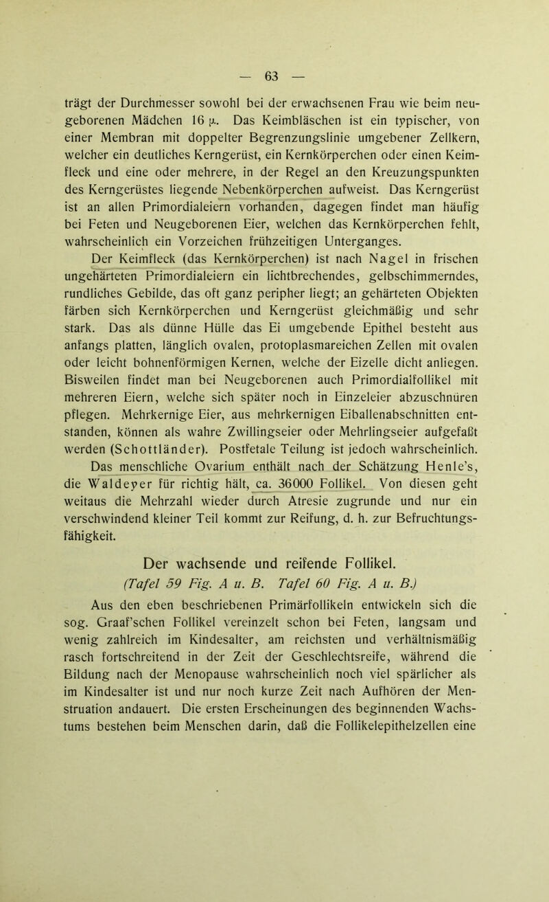 trägt der Durchmesser sowohl bei der erwachsenen Frau wie beim neu- geborenen Mädchen 16 jji. Das Keimbläschen ist ein typischer, von einer Membran mit doppelter Begrenzungslinie umgebener Zellkern, welcher ein deutliches Kerngerüst, ein Kernkörperchen oder einen Keim- fleck und eine oder mehrere, in der Regel an den Kreuzungspunkten des Kerngerüstes liegende Nebenkörperchen aufweist. Das Kerngerüst ist an allen Primordialeiern vorhanden, dagegen findet man häufig bei Feten und Neugeborenen Eier, welchen das Kernkörperchen fehlt, wahrscheinlich ein Vorzeichen frühzeitigen Unterganges. Der Keimfleck (das Kernkörperchen) ist nach Nagel in frischen ungehärteten Primordialeiern ein lichtbrechendes, gelbschimmerndes, rundliches Gebilde, das oft ganz peripher liegt; an gehärteten Objekten färben sich Kernkörperchen und Kerngerüst gleichmäßig und sehr stark. Das als dünne Hülle das Ei umgebende Epithel besteht aus anfangs platten, länglich ovalen, protoplasmareichen Zellen mit ovalen oder leicht bohnenförmigen Kernen, welche der Eizelle dicht anliegen. Bisweilen findet man bei Neugeborenen auch Primordialfollikel mit mehreren Eiern, welche sich später noch in Einzeleier abzuschnüren pflegen. Mehrkernige Eier, aus mehrkernigen Eiballenabschnitten ent- standen, können als wahre Zwillingseier oder Mehrlingseier aufgefaßt werden (Schottländer). Postfetale Teilung ist jedoch wahrscheinlich. Das menschliche Ovarium enthält nach der Schätzung Henle’s, die Waldeyer für richtig hält, ca. 36000 Follikel. Von diesen geht weitaus die Mehrzahl wieder durch Atresie zugrunde und nur ein verschwindend kleiner Teil kommt zur Reifung, d. h. zur Befruchtungs- fähigkeit. Der wachsende und reifende Follikel. (Tafel 59 Fig. A u. B. Tafel 60 Fig. A u. B.) Aus den eben beschriebenen Primärfollikeln entwickeln sich die sog. Graaf’schen Follikel vereinzelt schon bei Feten, langsam und wenig zahlreich im Kindesalter, am reichsten und verhältnismäßig rasch fortschreitend in der Zeit der Geschlechtsreife, während die Bildung nach der Menopause wahrscheinlich noch viel spärlicher als im Kindesalter ist und nur noch kurze Zeit nach Aufhören der Men- struation andauert. Die ersten Erscheinungen des beginnenden Wachs- tums bestehen beim Menschen darin, daß die Follikelepithelzellen eine