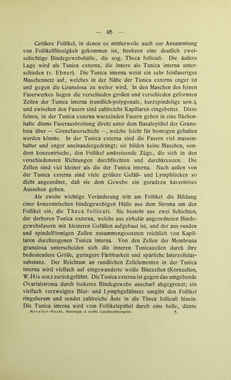 Größere Follikel, in denen es mittlerweile auch zur Ansammlung von Follikelflüssigkeit gekommen ist, besitzen eine deutlich zwei- schichtige Bindegewebshülle, die sog. Theca folliculi. Die äußere Lage wird als Tunica externa, die innere als Tunica interna unter- schieden (v. Ebner). Die Tunica interna weist ein sehr feinfaseriges Maschennetz auf, welches in der Nähe der Tunica externa enger ist und gegen die Granulosa zu weiter wird. In den Maschen des feinen Faserwerkes liegen die verschieden großen und verschieden geformten Zellen der Tunica interna (rundlich-polpgonale, kurzspindelige usw.), und zwischen den Fasern sind zahlreiche Kapillaren eingebettet. Diese feinen, in der Tunica externa wurzelnden Fasern gehen in eine flächen- hafte dünne Faserausbreitung direkt unter dem Basalepithel der Granu- losa über — Grenzfaserschicht —, welche leicht für homogen gehalten werden könnte. In der Tunica externa sind die Fasern viel massen- hafter und enger aneinandergedrängt; sie bilden keine Maschen, son- dern konzentrische, den Follikel umkreisende Züge, die sich in den verschiedensten Richtungen durchflechten und durchkreuzen. Die Zellen sind viel kleiner als die der Tunica interna. Nach außen von der Tunica externa sind viele größere Gefäß- und Lymphlücken so dicht angeordnet, daß sie dem Gewebe ein geradezu kavernöses Aussehen geben. Als zweite wichtige Veränderung tritt am Follikel die Bildung einer konzentrischen bindegewebigen Hülle aus dem Stroma um den Follikel ein, die Theca folliculi. Sie besteht aus zwei Schichten, der derberen Tunica externa, welche aus zirkulär angeordneten Binde- gewebsfasern mit kleineren Gefäßen aufgebaut ist, und der aus runden und spindelförmigen Zellen zusammengesetzten reichlich von Kapil- laren durchzogenen Tunica interna. Von den Zellen der Membrana granulosa unterscheiden sich die inneren Tunicazellen durch ihre bedeutendere Größe, geringere Färbbarkeit und spärliche Interzellular- substanz. Der Reichtum an rundlichen Zellelementen in der Tunica interna wird vielfach auf eingewanderte weiße Blutzellen (Kornzellen, W. H i s sen.) zurückgeführt. DieTunica externa ist gegen das umgebende Ovarialstroma durch lockeres Bindegewebe unscharf abgegrenzt; ein vielfach verzweigtes Blut- und Lpmphgefäßnetz umgibt den Follikel ringsherum und sendet zahlreiche Äste in die Theca folliculi hinein. Die Tunica interna wird vom Follikelepithel durch eine helle, dünne Moraller-Hoehl, Histologie d. weibl. Geschlechtsorgane. 5