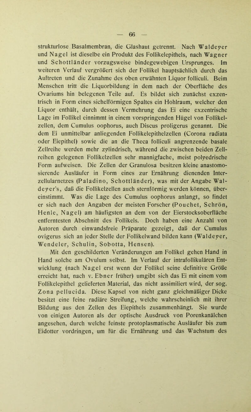 strukturlose Basalmembran, die Glashaut getrennt. Nach Waldeyer und Nagel ist dieselbe ein Produkt des Follikelepithels, nach Wagner und Schottländer vorzugsweise bindegewebigen Ursprunges. Im weiteren Verlauf vergrößert sich der Follikel hauptsächlich durch das Auftreten und die Zunahme des oben erwähnten Liquor folliculi. Beim Menschen tritt die Liquorbildung in dem nach der Oberfläche des Ovariums hin belegenen Teile auf. Es bildet sich zunächst exzen- trisch in Form eines sichelförmigen Spaltes ein Hohlraum, welcher den Liquor enthält, durch dessen Vermehrung das Ei eine exzentrische Lage im Follikel einnimmt in einem vorspringenden Hügel von Follikel- zellen, dem Cumulus oophorus, auch Discus proligerus genannt. Die dem Ei unmittelbar anliegenden Follikelepithelzellen (Corona radiata oder Eiepithel) sowie die an die Theca folliculi angrenzende basale Zellreihe werden mehr zylindrisch, während die zwischen beiden Zell- reihen gelegenen Follikelzellen sehr mannigfache, meist polyedrische Form aufweisen. Die Zellen der Granulosa besitzen kleine anastomo- sierende Ausläufer in Form eines zur Ernährung dienenden Inter- zellularnetzes (Paladino, Schottländer), was mit der Angabe Wal- deyer’s, daß die Follikelzellen auch sternförmig werden können, über- einstimmt. Was die Lage des Cumulus oophorus anlangt, so findet er sich nach den Angaben der meisten Forscher (Pouchet, Schrön, Henle, Nagel) am häufigsten an dem von der Eierstocksoberfläche entferntesten Abschnitt des Follikels. Doch haben eine Anzahl von Autoren durch einwandsfreie Präparate gezeigt, daß der Cumulus ovigerus sich an jeder Stelle der Follikelwand bilden kann (Waldeyer, Wendeier, Schulin, Sobotta, Hensen). Mit den geschilderten Veränderungen am Follikel gehen Hand in Hand solche am Ovulum selbst. Im Verlauf der intrafollikulären Ent- wicklung (nach Nagel erst wenn der Follikel seine definitive Größe erreicht hat, nach v. Ebner früher) umgibt sich das Ei mit einem vom Follikelepithel gelieferten Material, das nicht assimiliert wird, der sog. Zona peliucida. Diese Kapsel von nicht ganz gleichmäßiger Dicke besitzt eine feine radiäre Streifung, welche wahrscheinlich mit ihrer Bildung aus den Zellen des Eiepithels zusammenhängt. Sie wurde von einigen Autoren als der optische Ausdruck von Porenkanälchen angesehen, durch welche feinste protoplasmatische Ausläufer bis zum Eidotter Vordringen, um für die Ernährung und das Wachstum des