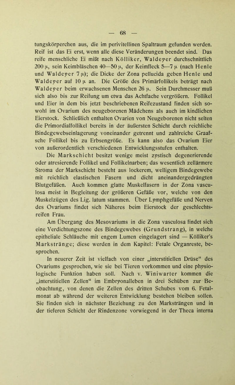 tungskörperchen aus, die im perivitellinen Spaltraum gefunden werden. Reif ist das Ei erst, wenn alle diese Veränderungen beendet sind. Das reife menschliche Ei mißt nach Kölliker, Waldeyer durchschnittlich 200 ja, sein Keimbläschen 40—50 ja, der Keimfleck 5—7 [a (nach Henle und Waldeyer 7 ja); die Dicke der Zona pellucida geben Henle und Waldeyer auf 10 ja an. Die Größe des Primärfollikels beträgt nach Waldeyer beim erwachsenen Menschen 26 [a. Sein Durchmesser muß sich also bis zur Reifung um etwa das Achtfache vergrößern. Follikel und Eier in dem bis jetzt beschriebenen Reifezustand finden sich so- wohl im Ovarium des neugeborenen Mädchens als auch im kindlichen Eierstock. Schließlich enthalten Ovarien von Neugeborenen nicht selten die Primordialfollikel bereits in der äußersten Schicht durch reichliche Bindegewebseinlagerung voneinander getrennt und zahlreiche Graaf- sche Follikel bis zu Erbsengroße. Es kann also das Ovarium Eier von außerordentlich verschiedenen Entwicklungsstufen enthalten. Die Markschicht besitzt wenige meist zystisch degenerierende oder atresierend'e Follikel und Follikelnarben; das wesentlich zellärmere Stroma der Markschicht besteht aus lockerem, welligem Bindegewebe mit reichlich elastischen Fasern und dicht aneinandergedrängten Blutgefäßen. Auch kommen glatte Muskelfasern in der Zona vascu- losa meist in Begleitung der größeren Gefäße vor, welche von den Muskelzügen des Lig. latum stammen. Über Lymphgefäße und Nerven des Ovariums findet sich Näheres beim Eierstock der geschlechts- reifen Frau. Am Übergang des Mesovariums in die Zona vasculosa findet sich eine Verdichtungszone des Bindegewebes (Grundstrang), in welche epitheliale Schläuche mit engem Lumen eingelagert sind — Kölliker’s Markstränge; diese werden in dem Kapitel: Fetale Organreste, be- sprochen. In neuerer Zeit ist vielfach von einer „interstitiellen Drüse“ des Ovariums gesprochen, wie sie bei Tieren Vorkommen und eine physio- logische Funktion haben soll. Nach v. Winiwarter kommen die „interstitiellen Zellen“ im Embryonalleben in drei Schüben zur Be- obachtung, von denen die Zellen des dritten Schubes vom 6. Fetal- monat ab während der weiteren Entwicklung bestehen bleiben sollen. Sie finden sich in nächster Beziehung zu den Marksträngen und in der tieferen Schicht der Rindenzone vorwiegend in der Theca interna