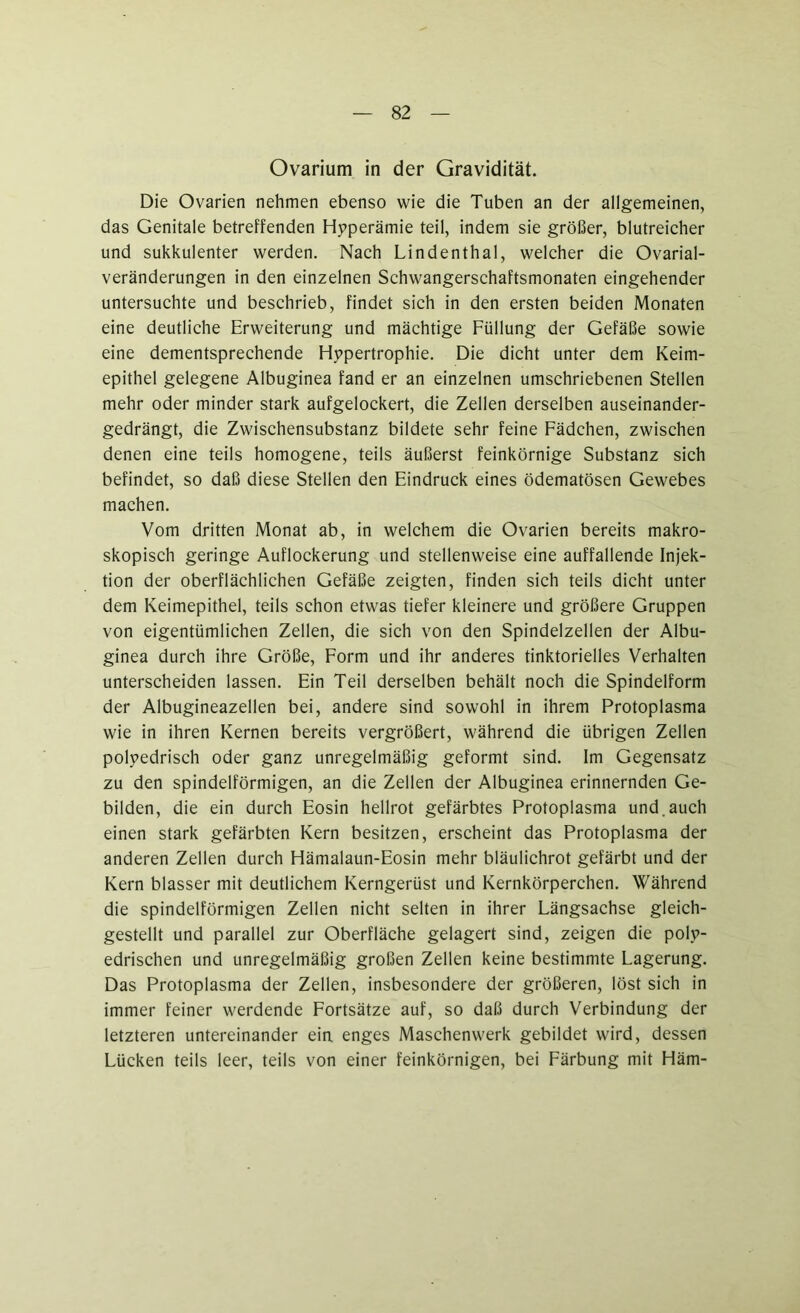 Ovarium in der Gravidität. Die Ovarien nehmen ebenso wie die Tuben an der allgemeinen, das Genitale betreffenden Hyperämie teil, indem sie größer, blutreicher und sukkulenter werden. Nach Lindenthal, welcher die Ovarial- veränderungen in den einzelnen Schwangerschaftsmonaten eingehender untersuchte und beschrieb, findet sich in den ersten beiden Monaten eine deutliche Erweiterung und mächtige Füllung der Gefäße sowie eine dementsprechende Hypertrophie. Die dicht unter dem Keim- epithel gelegene Albuginea fand er an einzelnen umschriebenen Stellen mehr oder minder stark aufgelockert, die Zellen derselben auseinander- gedrängt, die Zwischensubstanz bildete sehr feine Fädchen, zwischen denen eine teils homogene, teils äußerst feinkörnige Substanz sich befindet, so daß diese Stellen den Eindruck eines ödematösen Gewebes machen. Vom dritten Monat ab, in welchem die Ovarien bereits makro- skopisch geringe Auflockerung und stellenweise eine auffallende Injek- tion der oberflächlichen Gefäße zeigten, finden sich teils dicht unter dem Keimepithel, teils schon etwas tiefer kleinere und größere Gruppen von eigentümlichen Zellen, die sich von den Spindelzellen der Albu- ginea durch ihre Größe, Form und ihr anderes tinktorielles Verhalten unterscheiden lassen. Ein Teil derselben behält noch die Spindelform der Albugineazellen bei, andere sind sowohl in ihrem Protoplasma wie in ihren Kernen bereits vergrößert, während die übrigen Zellen polyedrisch oder ganz unregelmäßig geformt sind. Im Gegensatz zu den spindelförmigen, an die Zellen der Albuginea erinnernden Ge- bilden, die ein durch Eosin hellrot gefärbtes Protoplasma und. auch einen stark gefärbten Kern besitzen, erscheint das Protoplasma der anderen Zellen durch Hämalaun-Eosin mehr bläulichrot gefärbt und der Kern blasser mit deutlichem Kerngerüst und Kernkörperchen. Während die spindelförmigen Zellen nicht selten in ihrer Längsachse gleich- gestellt und parallel zur Oberfläche gelagert sind, zeigen die poly- edrischen und unregelmäßig großen Zellen keine bestimmte Lagerung. Das Protoplasma der Zellen, insbesondere der größeren, löst sich in immer feiner werdende Fortsätze auf, so daß durch Verbindung der letzteren untereinander eia enges Maschenwerk gebildet wird, dessen Lücken teils leer, teils von einer feinkörnigen, bei Färbung mit Häm-