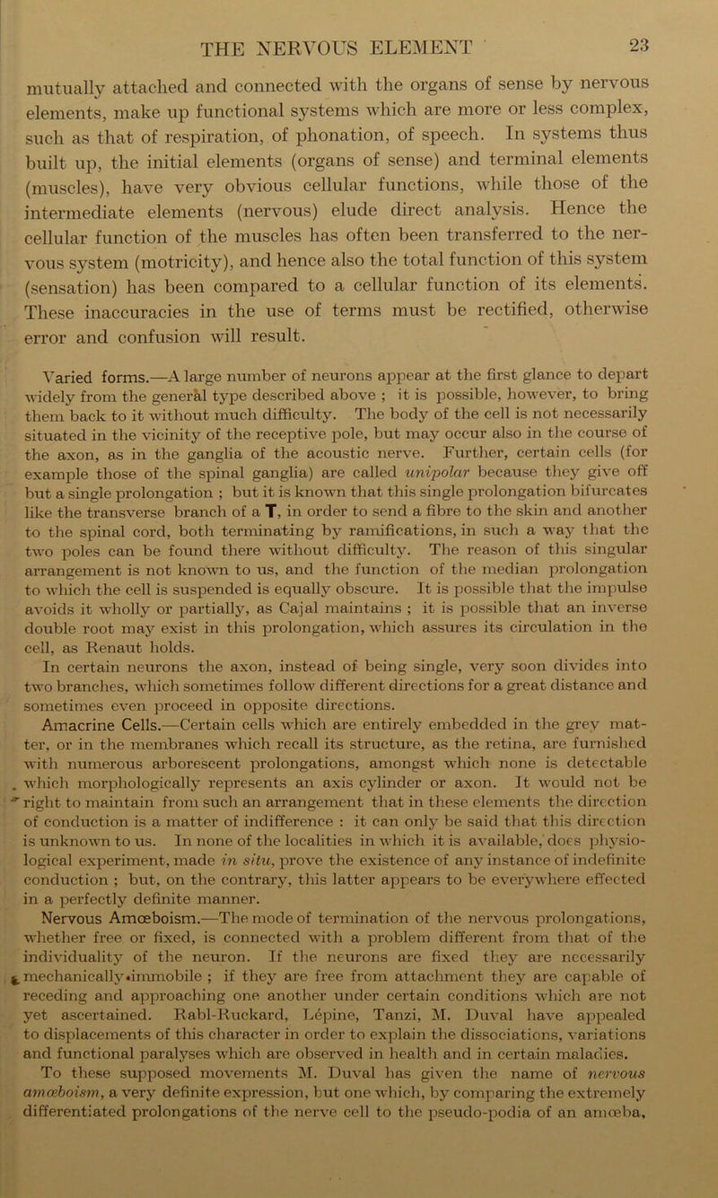 mutually attaclicd. and. connect6d with the organs of sense by nervous elements, make up functional systems which are more or less complex, such as that of respiration, of phonation, of speech. In systems thus built up, the initial elements (organs of sense) and terminal elements (muscles), have very obvious cellular functions, while those of the intermediate elements (nervous) elude direct analysis. Hence the cellular function of the muscles has often been transferred to the ner- vous system (motricity), and hence also the total function of this system (sensation) has been compared to a cellular function of its elements. These inaccuracies in the use of terms must be rectified, otherwise error and confusion will result. Varied forms.—A large number of neurons ap23ear at the first glance to depart widely from the general type described above ; it is possible, however, to bring them back to it without much difficulty. The body of the cell is not necessarily situated in the vicinity of the receptive pole, but may occur also in the course of the axon, as in the ganglia of the acoustic nerve. Further, certain cells (for example those of the sj)inal ganglia) are called unipolar because they give off but a single j^rolongation ; but it is known that this single jirolongation bifurcates like the transverse branch of a T, in order to send a fibre to the skin and another to the sjDinal cord, both terminating by ramifications, in such a way that the two poles can be found there without difficulty. The reason of this singular arrangement is not known to us, and the function of the median jorolongation to which the cell is suspended is equally obscure. It is possible that the imjnulse avoids it wholly or jDartially, as Cajal maintains ; it is jDOSsible that an inverse double root may exist in this prolongation, which assures its circulation in the cell, as Renaut holds. In certain neurons the axon, instead of being single, very soon divides into two branches, which sometimes follow different directions for a great distance and sometimes even proceed in opposite directions. Amacrine Cells.—Certain cells which are entirely embedded in the grey mat- ter, or in the membranes which recall its structure, as the retina, are furnished with numerous arborescent prolongations, amongst which none is detectable . which morj)hologically represents an axis cylinder or axon. It would not be right to maintain from such an arrangement that in these elements the direction of conduction is a matter of indifference : it can only be said that this direction is unknown to us. In none of the localities in which it is available,' does jDhysio- logical exj)eriment, made in situ, jDi’ove the existence of any instance of indefinite conduction ; but, on the contrary, this latter ajppears to be everywhere effected in a perfectly definite manner. Nervous Amoeboism.—The mode of termination of the nervous jorolongations, whether free or fixed, is connected with a joroblem different from that of the individuality of the neuron. If the neurons are fixed they are necessarily ^ mechanically4inunobile ; if they are free from attachment they are capable of receding and apjDi’oaching one another under certain conditions which are not yet ascertained. Rabl-Kuckard, Lepine, Tanzi, M. Duval have ap^Dealed to displacements of this character in order to exj)lain the dissociations, variations and functional paralyses which are observed in health and in certain maladies. To these supposed movements M. Duval has given the name of nervous amoeboism, a very definite expression, but one which, by comparing the extremely differentiated prolongations of the nei’ve cell to the pseudo-joodia of an amoeba.