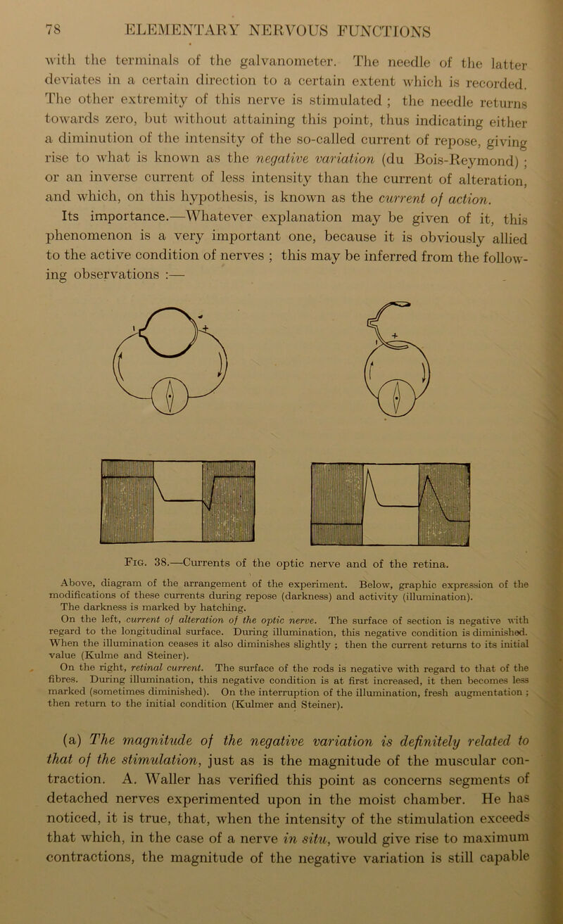 M'itli the terminals of the galvanometer. Tlie needle of the latter deviates in a certain direction to a certain extent which is recorded. The other extremity of this nerve is stimulated ; the needle returns towards zero, but without attaining this point, thus indicating either a diminution of the intensity of the so-called current of repose, giving rise to what is known as the negative variation (du Bois-Reymond) ; or an inverse current of less intensity than the current of alteration, and which, on this hypothesis, is known as the current of action. Its importance.—Whatever explanation may be given of it, this phenomenon is a very important one, because it is obviously allied to the active condition of nerves ; this may be inferred from the follow- ing observations :— Fig. 38.—Currents of the optic nerve and of the retina. Above, diagram of the arrangement of the experiment. Below, graphic expression of the modifications of these cmrents dming repose (darkness) and activity (illumination). The darkness is marked by hatching. On the left, current of alteration of the optic nerve. The surface of section is negative vith regard to the longitudinal surface. During illumination, this negative condition is diminished. When the illununation ceases it also diminishes shghtly ; then the current returns to its initial value (Kulme and Steiner). On the right, retinal current. The surface of the rods is negative with regard to that of the fibres. Dming illumination, this negative condition is at first increased, it then becomes less marked (sometimes diminished). On the interruption of the illumination, fresh augmentation ; then return to the initial condition (Kulmer and Steiner). (a) The magnitude of the negative variation is definitely related to that of the stimulation, just as is the magnitude of the muscular con- traction. A. Waller has verified this point as concerns segments of detached nerves experimented upon in the moist chamber. He has noticed, it is true, that, when the intensity of the stimulation exceeds that which, in the case of a nerve in situ, would give rise to maximum contractions, the magnitude of the negative variation is still capable