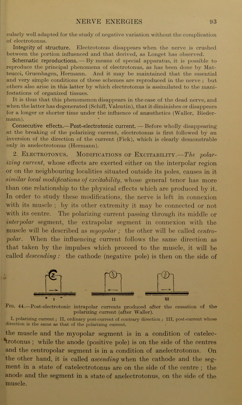 cularly well adapted for the study of negative variation without the complication of electrotonus. Integrity of structure. Electrotonus disappears when the nerve is crushed between the portion influenced and that derived, as Longet has observed. Schematic reproductions. — By means of special apparatus, it is possible to reproduce the principal phenomena of electrotonus, as has been done by Mat- teucci, Gruenhagen, Hermann. And it may be maintained that the essential and very simple conditions of these schemes are reproduced in the nerve ; but others also arise in this latter by which electrotonus is assimilated to the mani- festations of organized tissues. It is thus that this phenomenon disappears in the case of the dead nerve, and when the latter has degenerated (Schiff, Valentin), that it diminishes or disappears for a longer or shorter time under the influence of anaesthetics (Waller, Bieder- marm). Consecutive effects.—Post-electrotonic current. — Before wholly disappearing at the breaking of the polarizing current, electrotonus is first followed by an inversion of the direction of the current (Pick), which is clearly demonstrable only in anelectrotonus (Hermann). 2. Electrotonus. Modifications of Excitability.—The polar- izing current, whose effects are exerted either on the interpolar region or on the neighbouring localities situated outside its poles, causes in it similar local modifications of excitability, whose general tenor has more than one relationship to the physical effects which are produced by it. In order to study these modifications, the nerve is left in connexion with its muscle ; by its other extremity it may be connected or not with its centre. The polarizing current passing through its middle or interpolar segment, the extrapolar segment in connexion with the muscle will be described as myopolar ; the other will be called centro- polar. When the influencing current follows the same direction as that taken by the impulses which proceed to the muscle, it will be called descending : the cathode (negative pole) is then on the side of . 1 ^—- —*- I ■ 11 ui Fig. 44.—Post-electrotonic intrapolar currents produced after the cessation of the polarizing current (after Waller). I, polarizing current; II, ordinary post-current of contrary direction ; III, post-current whose direction is the same as that of the polarizing current. the muscle and the myopolar segment is in a condition of catelec- *trotonus ; while the anode (positive pole) is on the side of the centres and the centropolar segment is in a condition of anelectrotonus. On the other hand, it is called ascending when the cathode and the seg- ment in a state of catelectrotonus are on the side of the centre ; the anode and the segment in a state of anelectrotonus, on the side of the muscle.