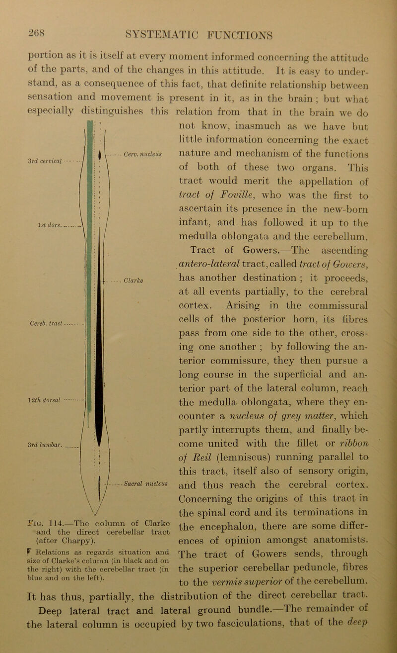 3rd cervical Cereb. trad ■ 12th dorsal ♦ Clarke portion as it is itself at every moment informed concerning the attitude of the parts, and of the changes in this attitude. It is easy to under- stand, as a consequence of this fact, that definite relationship between sensation and movement is present in it, as in the brain ; but what especially distinguishes this relation from that in the brain we do not know, inasmuch as we liave but little information concerning the exact cerv.nucieua nature and mechanism of the functions of both of these two organs. This tract would merit the appellation of tract of Foville, who was the first to ascertain its presence in the new-born 1st dors \ : ; / infant, and has followed it up to the medulla oblongata and the cerebellum. Tract of Gowers.—The ascending antero-lateral tract, called tract of Gowers, has another destination ; it proceeds, at all events partially, to the cerebral cortex. Arising in the commissural cells of the posterior horn, its fibres pass from one side to the other, cross- ing one another ; by following the an- terior commissure, they then pursue a long course in the superficial and an- terior part of the lateral column, reach the medulla oblongata, where they en- counter a nucleus of grey matter, which partly interrupts them, and finally be- come united with the fillet or ribbon of Reil (lemniscus) running parallel to this tract, itself also of sensory origin, Sacral nucleus thus reach the cerebral cortex. Concerning the origins of this tract in the spinal cord and its terminations in the encephalon, there are some differ- ences of opinion amongst anatomists. The tract of Gowers sends, through the superior cerebellar peduncle, fibres to the vermis superior of the cerebellum. It has thus, partially, the distribution of the direct cerebellar tract. Deep lateral tract and lateral ground bundle.—The remainder of the lateral column is occupied by two fasciculations, that of the deej) 3rd lumbar. Fig. 114.—The column of Clarke and the direct cerebellar tract (after Charpy). P Relations as regards situation and size of Clarke’s column (in black and on the right) with the cerebellar tract (in blue and on the left).