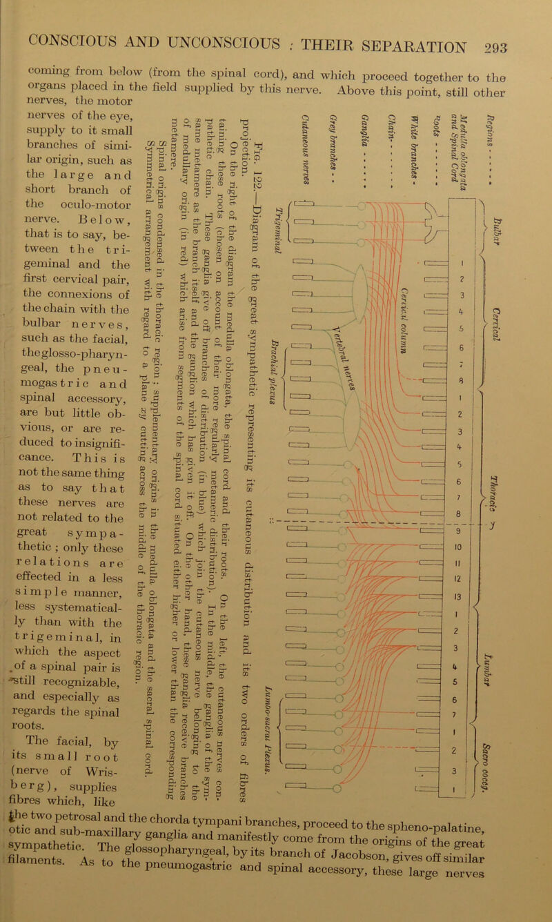 3 2 0) CO 02 2 5 T3 3 ^ 3 5-2 3 £, 2 O 3. ® a 3 c CD P P P »-3 i-j P P CP3 CD 3- CD P c^ CD O P CL CD P 09 CD CL ^ r>- §2- S' s ^ ^ o 2 9= S' p s. ^ p* p- p. CD 3 o ^ c+- C+- P- P- ^ CD CD ^ 09 P CD ■'it ^ o H “ CD Ct- p' — CD p- CD cr 0 HJ i99 CD 9- P g g 5' 0 P OQ - • p on •-S p 5 a o 5 ti? p 3 CO ® >s H S3 o 3 2 § 5’ 2 3Q § O 2 2. O riQ 00 -y. 03 p ® 5‘ 3 a ® p“i 2,1 3- 5 o cr g: o JD P O o CD op c+ P- CD 3 CD CL <2 K “ 3 o ® 3 o 31^ r^- <J _ ° §■ n.s rf* p 2,1 ?• 3 § ^ P P CD H-. cr p ^ r 3 2 o ® ® 2. 3^ si 3 ^ a. CL cr 92 O 3. 32 ® ct- cr 3 p ® EL 2 Cl ~ 2. 5- 3 E2. ® o' 3, O S' o P o 5“ ® Ei 3 Z- ® 3t ^ ® ^ (JQ ^ m3 tr 3^ o 3 ^ ® £ 3 'S 3 C+- — O- P ® 2 '• P H- EL o o 1 0 a & 9 ft 0 S' s- 1 2* a 0 1 1 a 0 « 1 Ox Co « 3- 3 < ( 1 05 • • 1 a- a coming from below (from tlie spinal cord), and which proceed together to the organs placed in the field supplied by this nerve. Above this point, still other nerves, the motor nerves of the eye, supply to it small branches of simi- lar origin, such as the large and short branch of the ocnlo-motor nerve. Below, that is to say, be- tween the t r i- geminal and the first cervical 2oair, the connexions of the chain with the bulbar nerves, such as the facial, theglosso-pharyn- geal, the p n e u - mogas trie and spinal accessory, are but little ob- vious, or are re- duced to insignifi- cance. This is not tlie same thing as to say that these nerves are not related to the great s y m p a - thetic ; only these relations are effected in a less simple manner, less systematical- ly than with the trigeminal, in which the aspect ,of a spinal pair is ■^till recognizable, and especially as regards the si^inal roots. The facial, by its small root (nerve of Wris- berg), supplies fibres which, like SS=;=~=E~ p eumogastric and spinal accessory, these large nerves ® ® '’aq 3 p 2 S' 3 < 2 ® ct- p' CD 3 K l-J ^ h— • Ct CL - & St '* CD